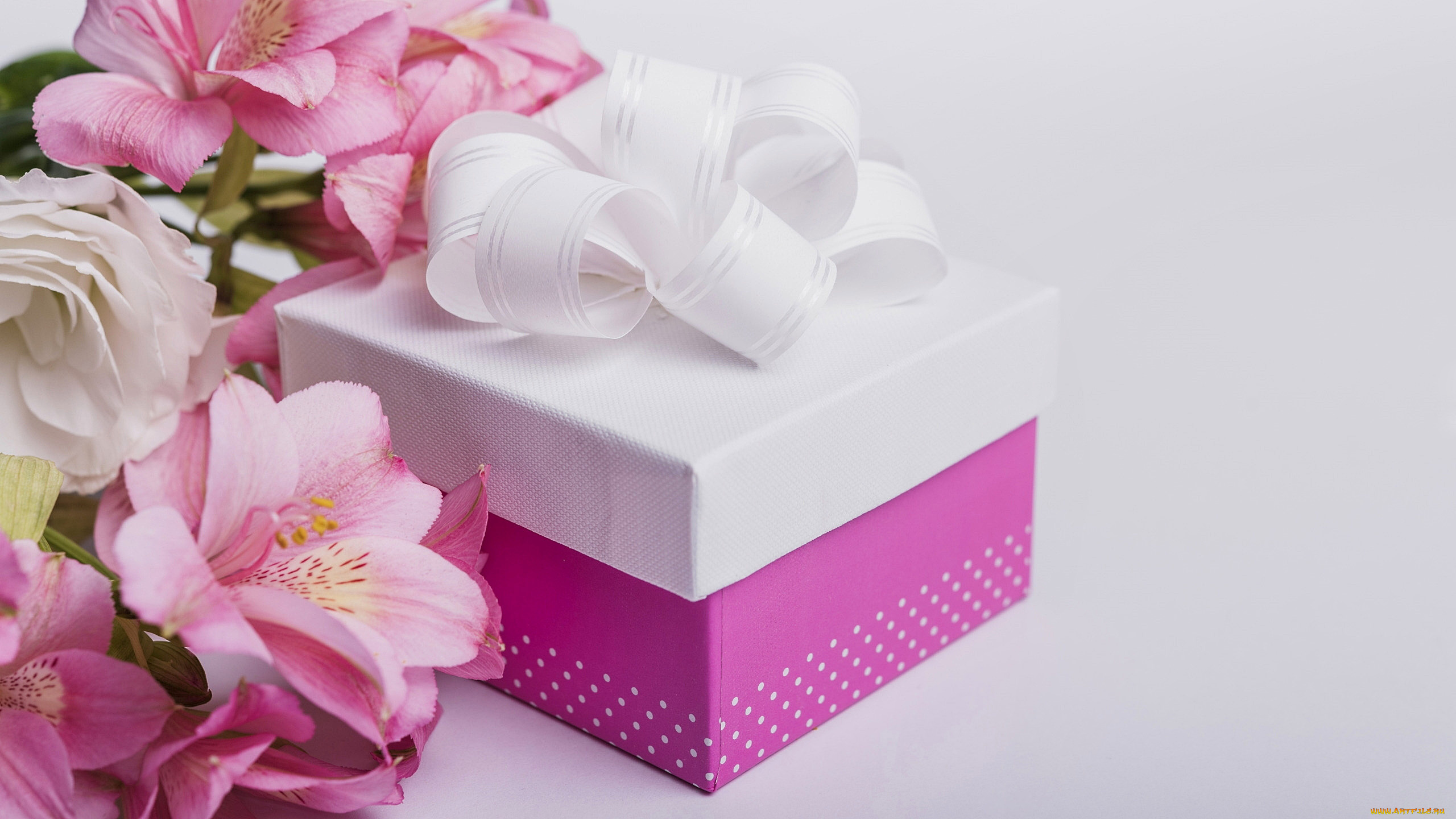 праздничные, подарки, и, коробочки, подарок, бант, лента