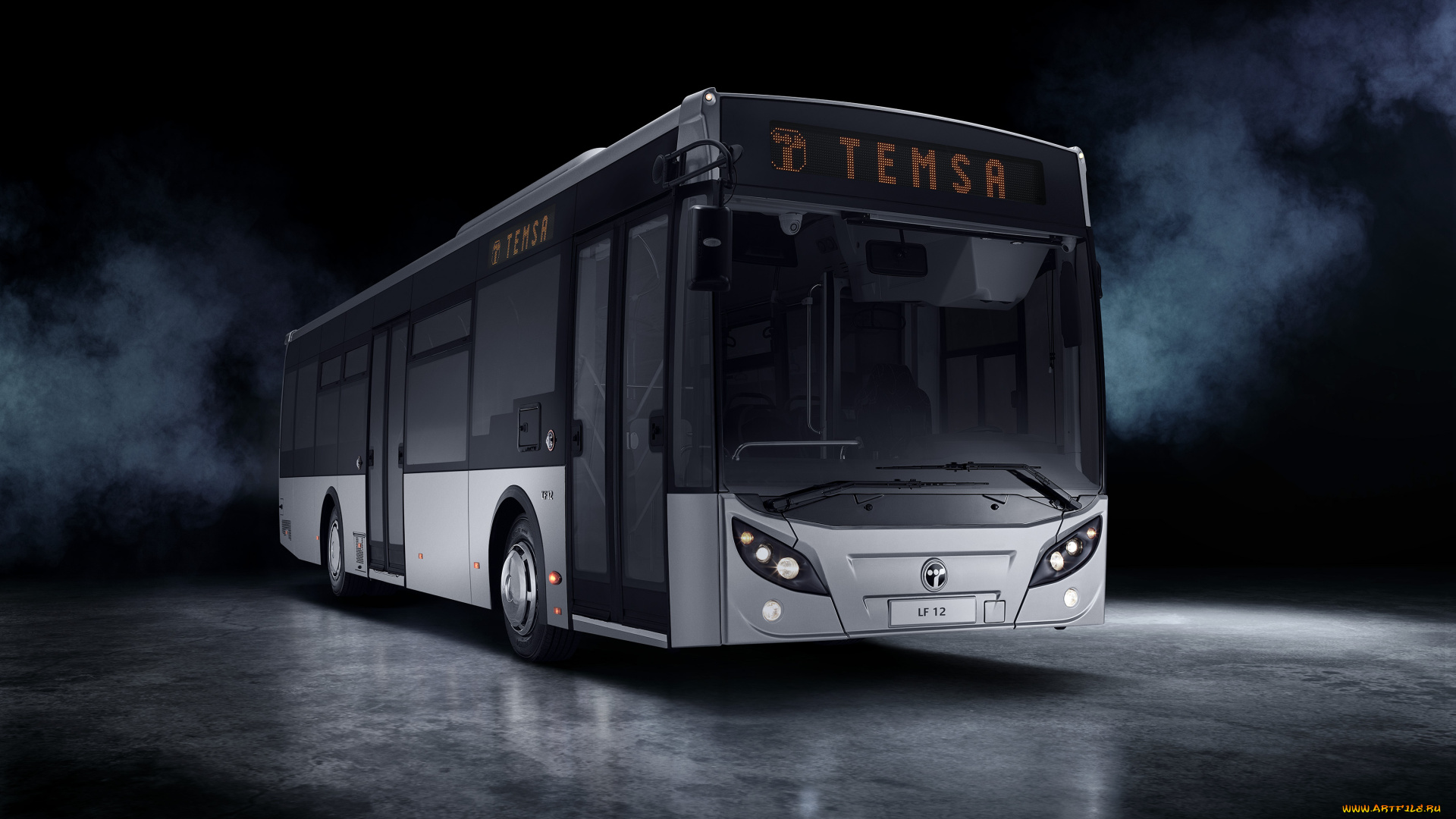 автомобили, автобусы, temsa