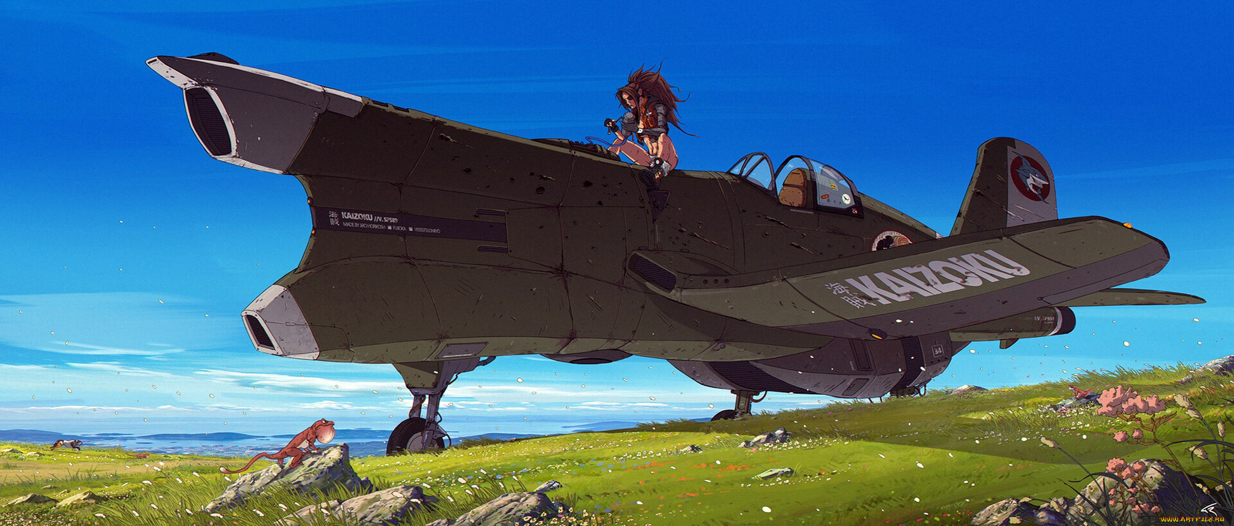 аниме, оружие, , техника, , технологии, девушка, самолет, ящерица