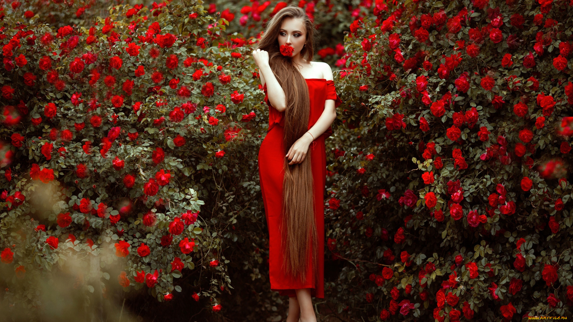 девушка, -, girl, девушки, -, брюнетки, , шатенки, девушка, женщина, шатенка, темноволосая, сексуальная, модель, звезда, позирует, разная, обувь, верхняя, стильная, одежда, нижнее, эротическое, бельё, трусы, лифчик, колготки, чулки, аксессуары, макияж, и, множество, элементов, на, фотографии