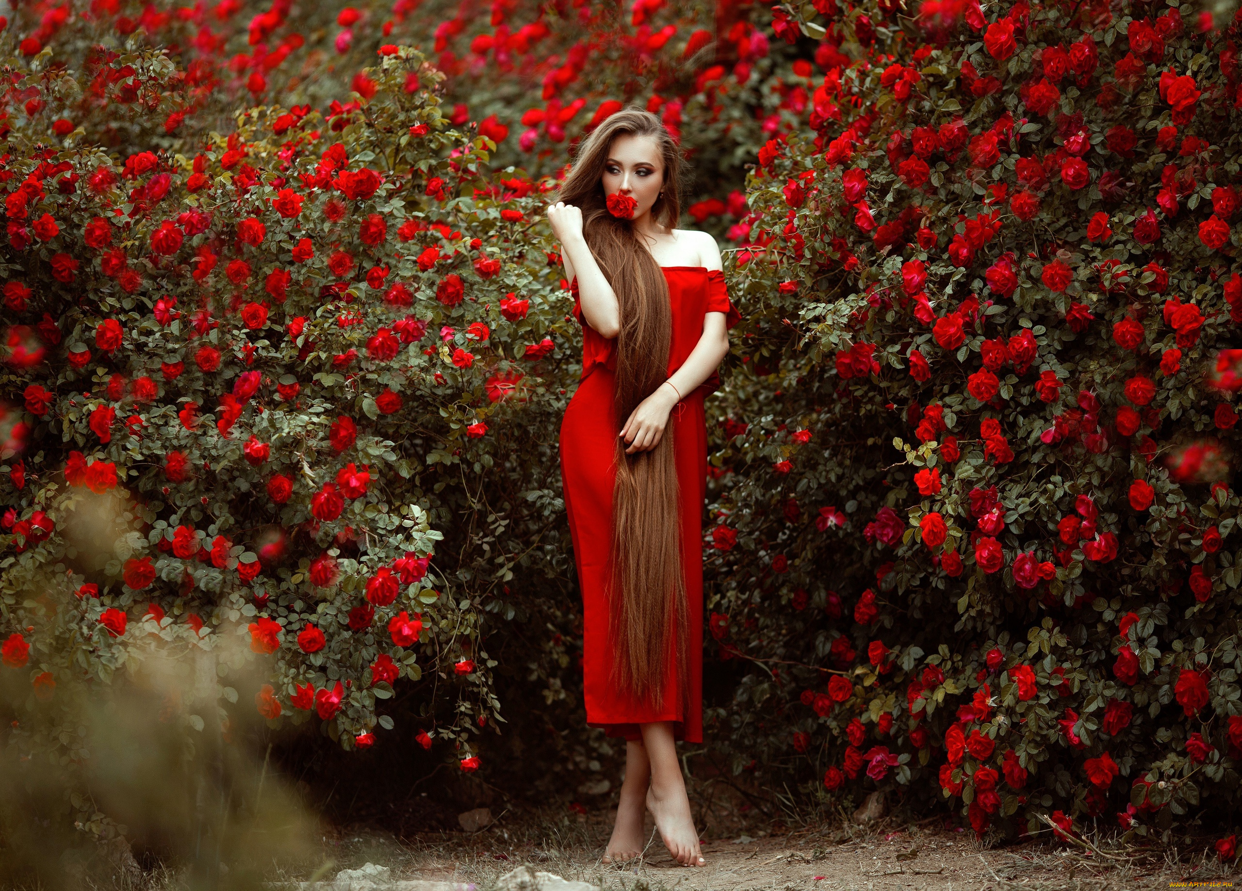 девушка, -, girl, девушки, -, брюнетки, , шатенки, девушка, женщина, шатенка, темноволосая, сексуальная, модель, звезда, позирует, разная, обувь, верхняя, стильная, одежда, нижнее, эротическое, бельё, трусы, лифчик, колготки, чулки, аксессуары, макияж, и, множество, элементов, на, фотографии