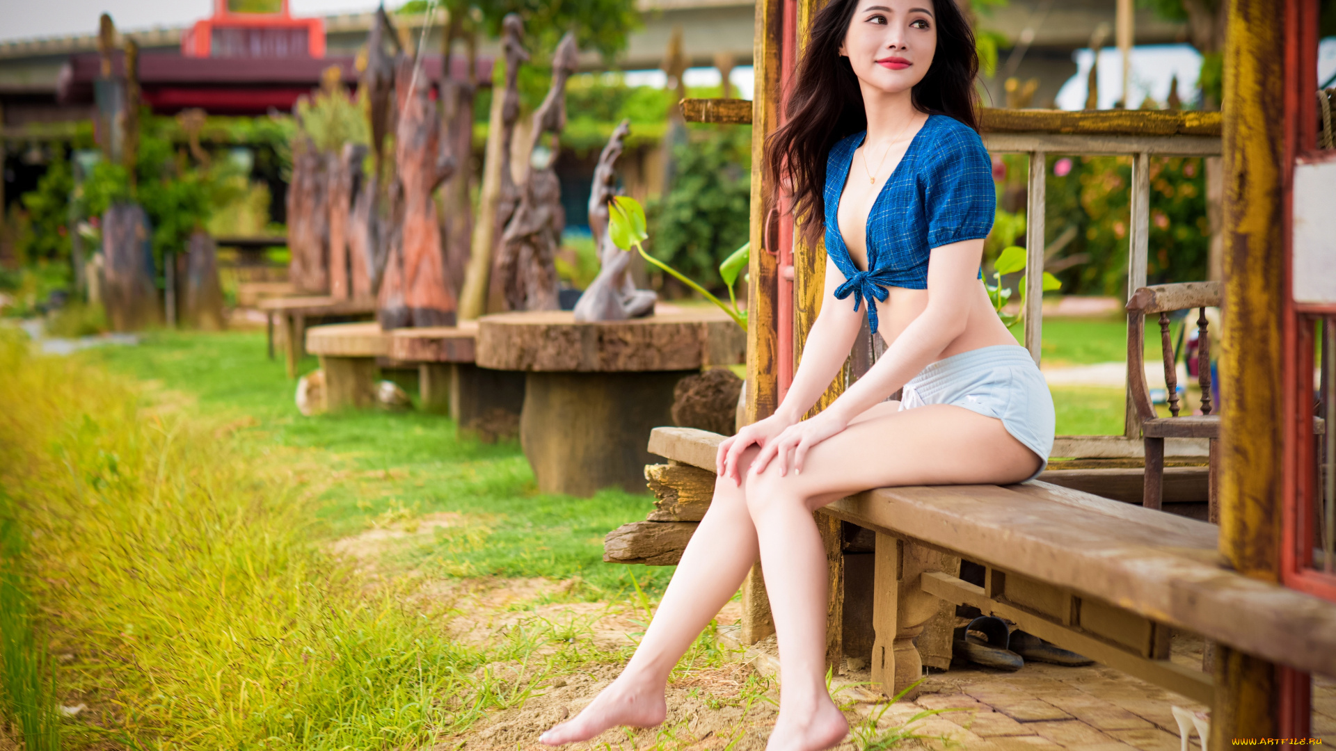 девушки, -, азиатки, девушка