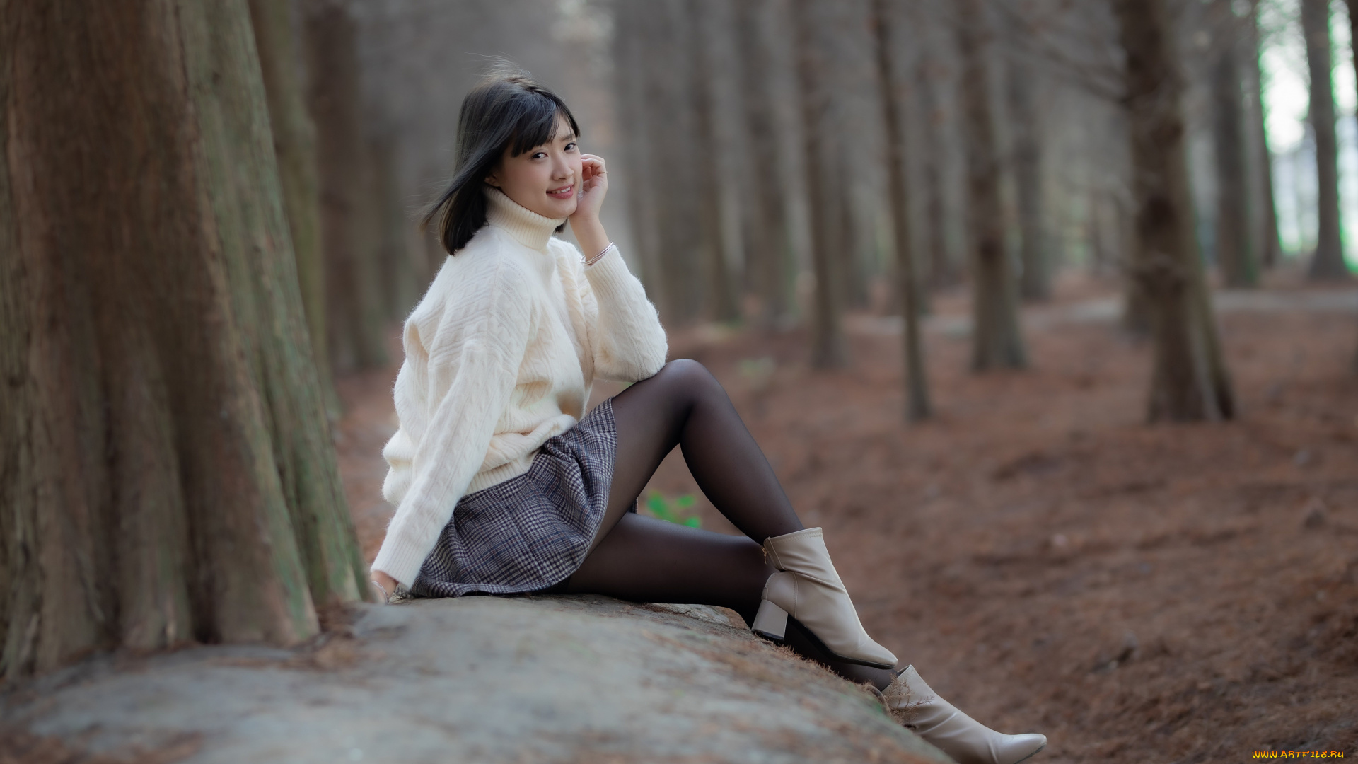 девушки, -, азиатки, девушка