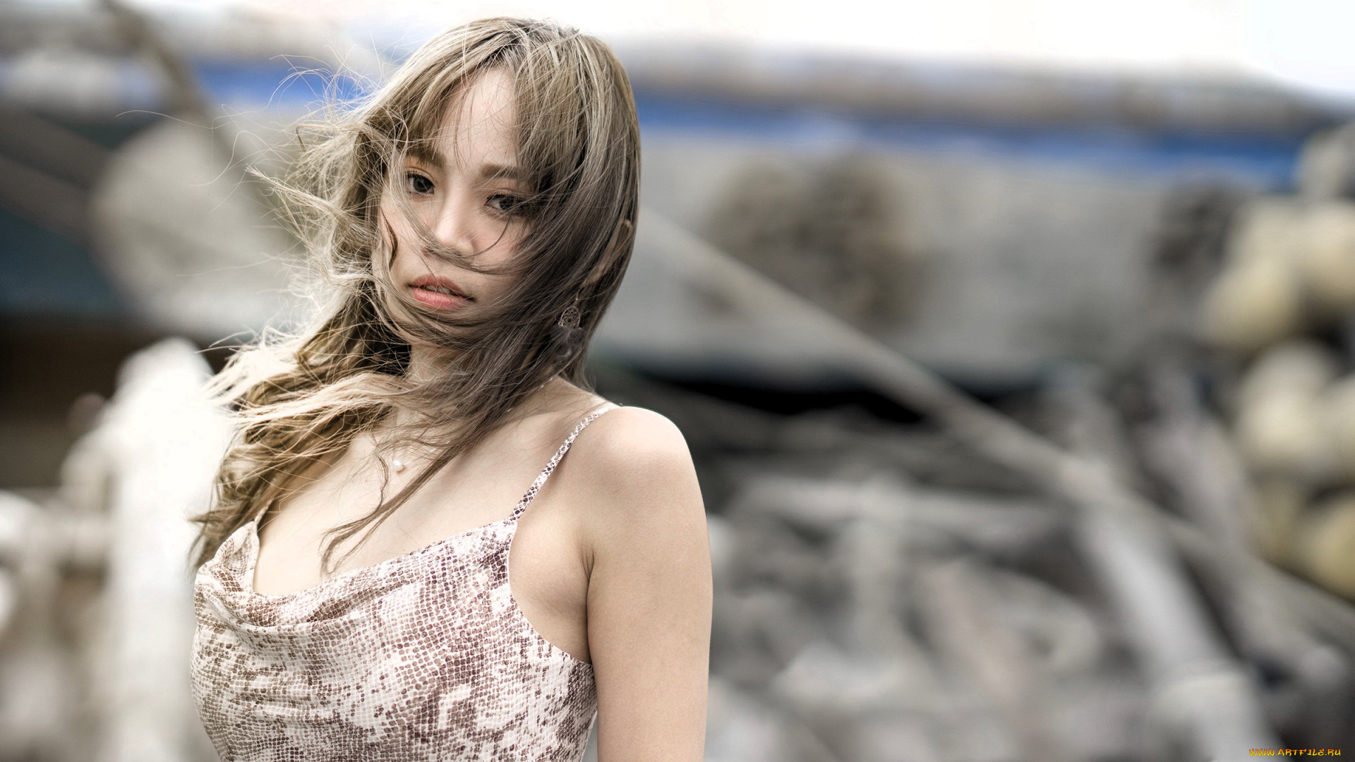 девушки, -, азиатки, русая, платье, ветер