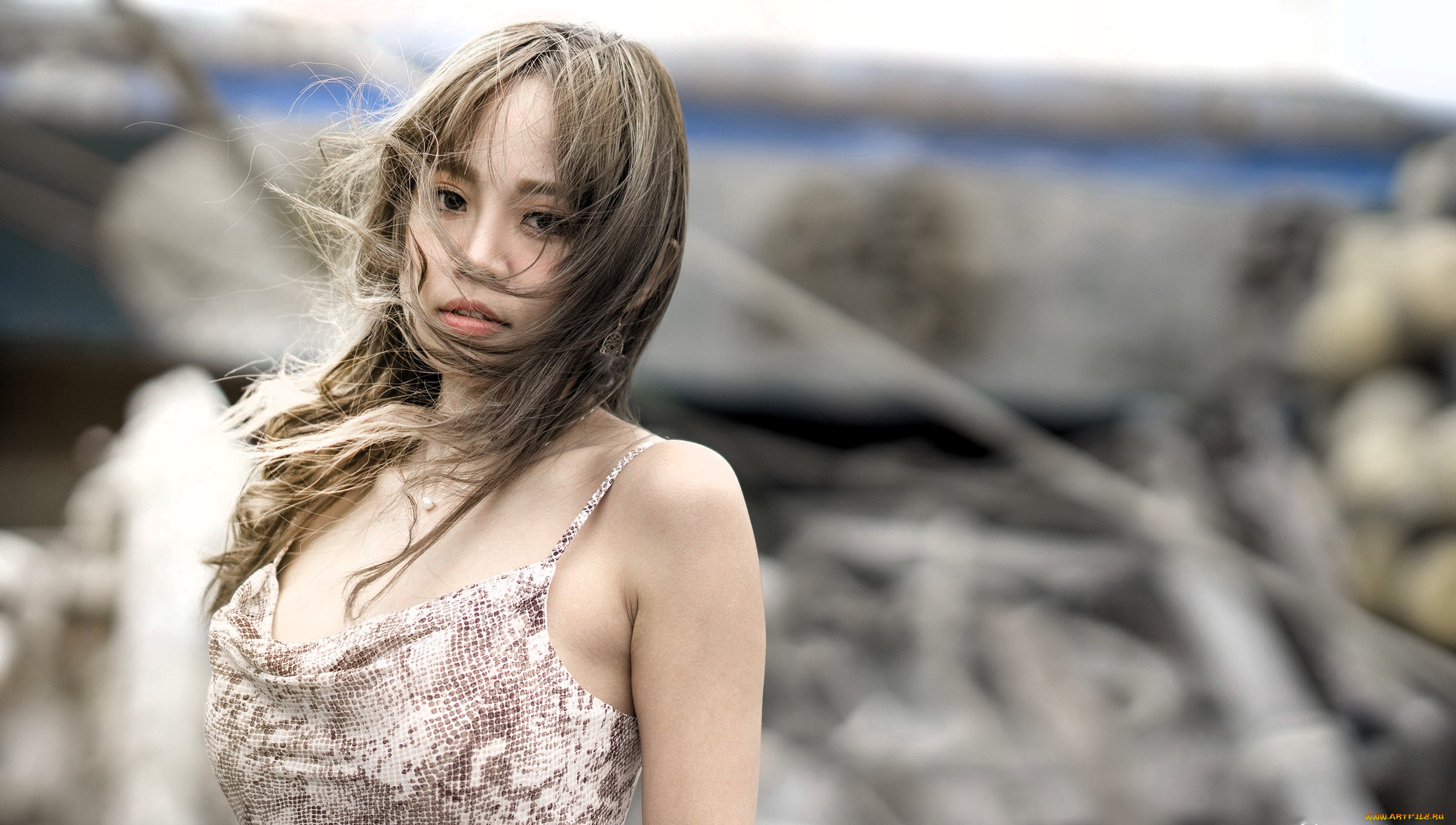 девушки, -, азиатки, русая, платье, ветер