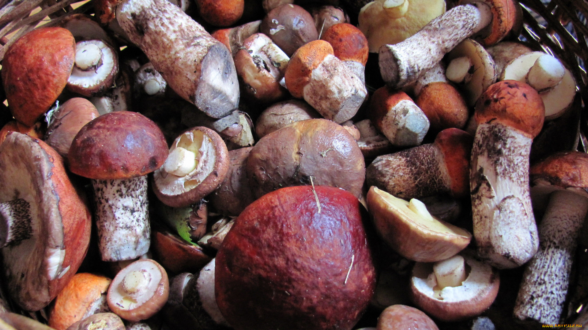 еда, грибы, , грибные, блюда, маслята, подосиновики