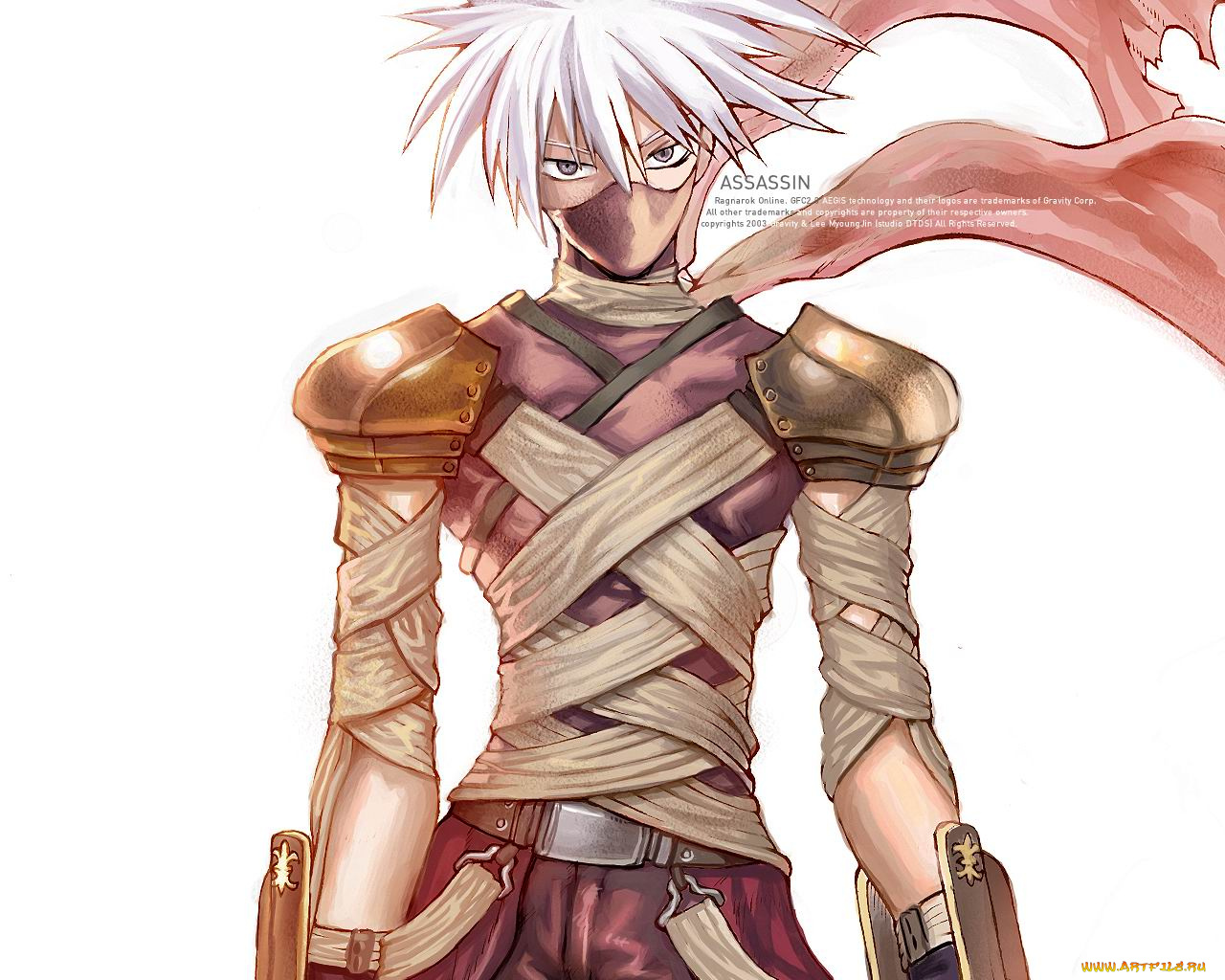 видео, игры, ragnarok, online