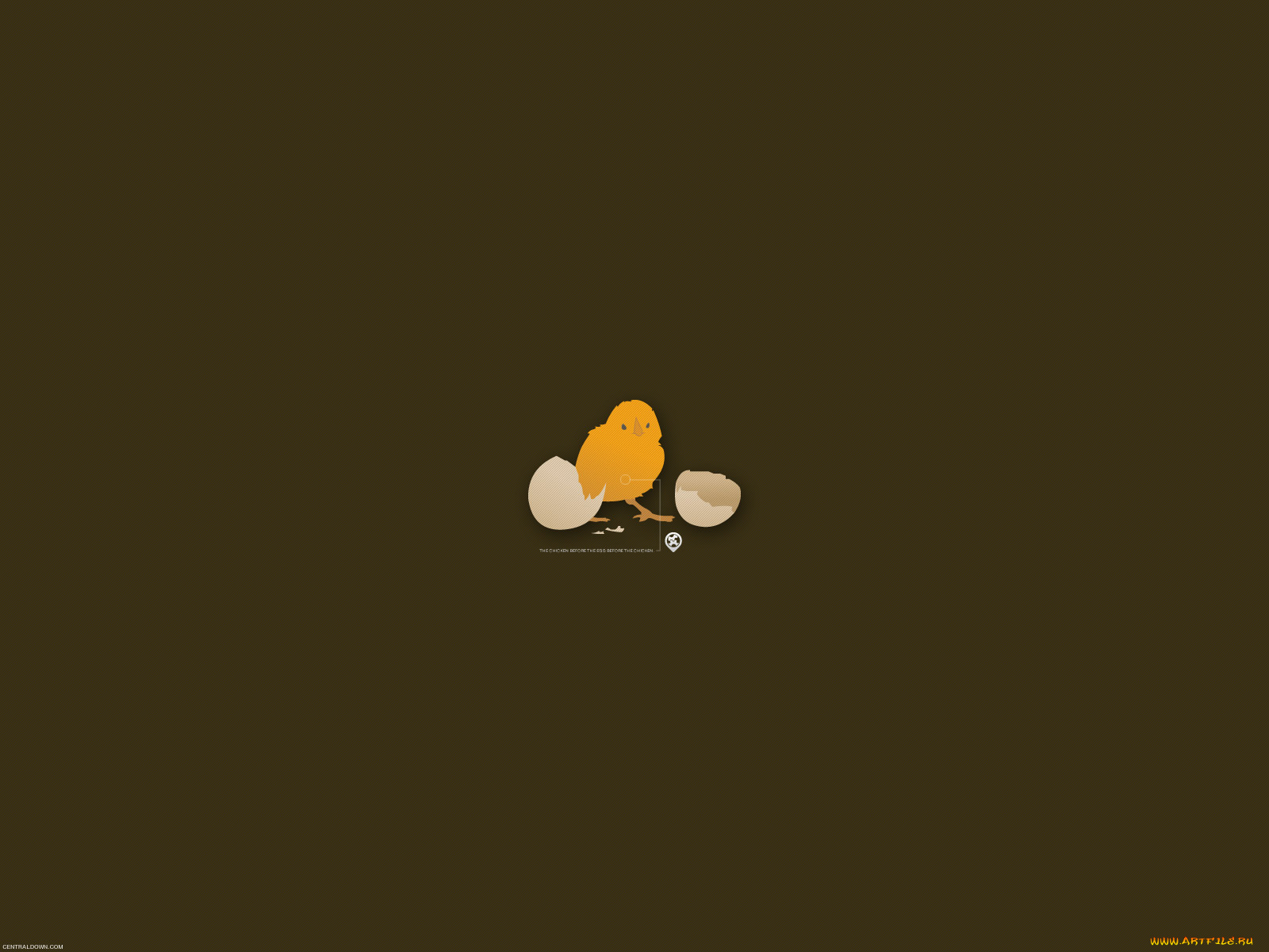 векторная, графика, циплёнок, шкорлупа