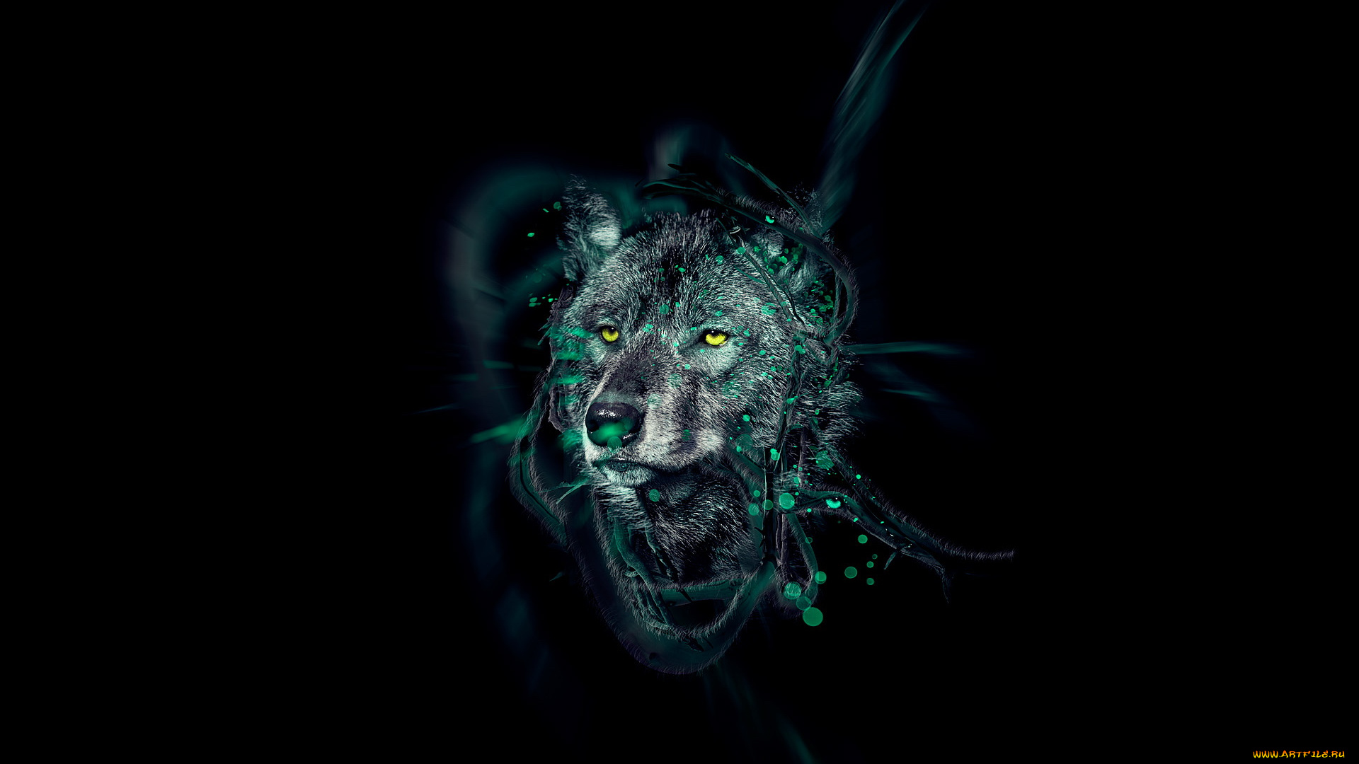 3д, графика, animals, животные, волк