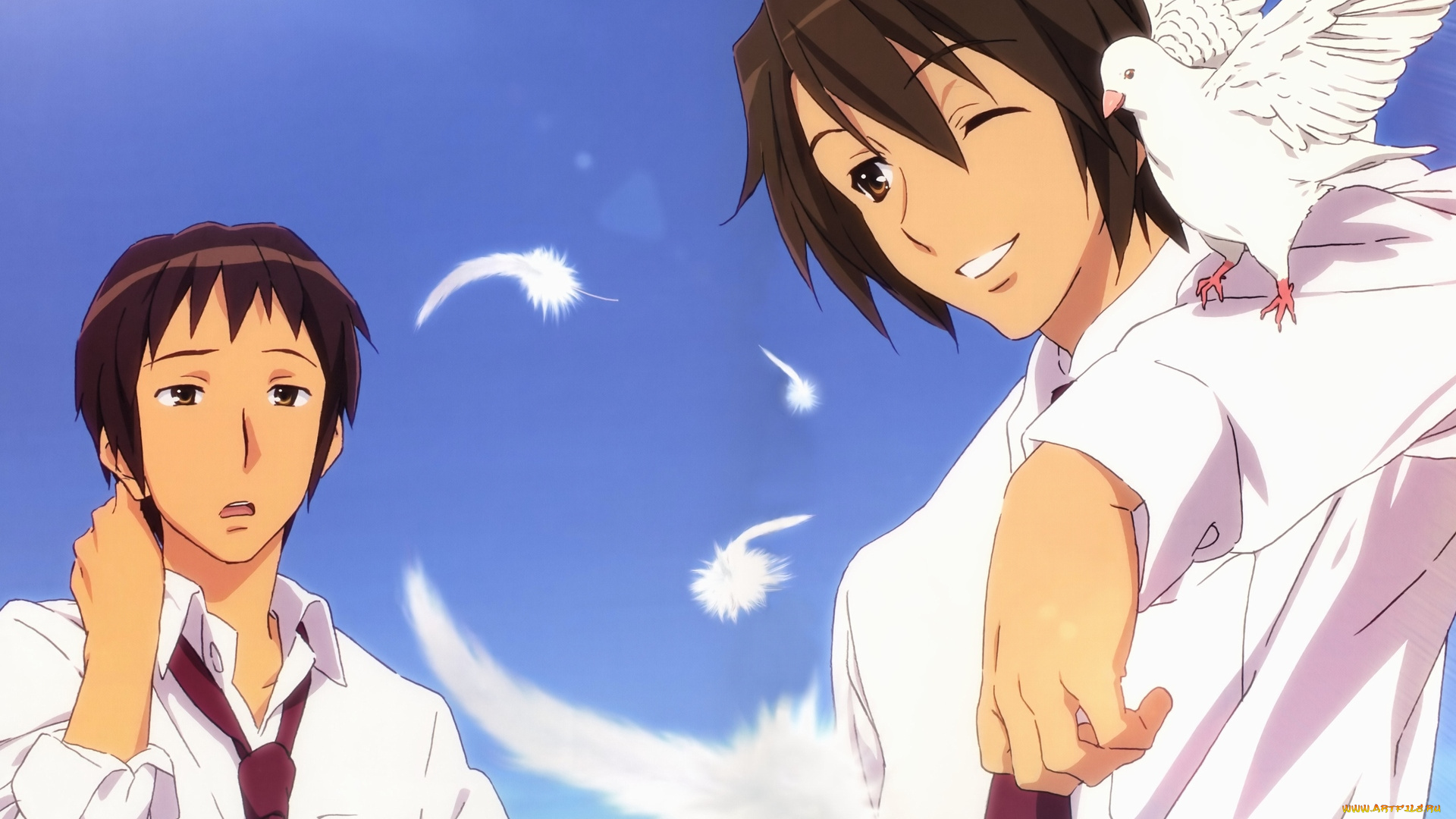 аниме, the, melancholy, of, haruhi, suzumiya, голубь, мальчики