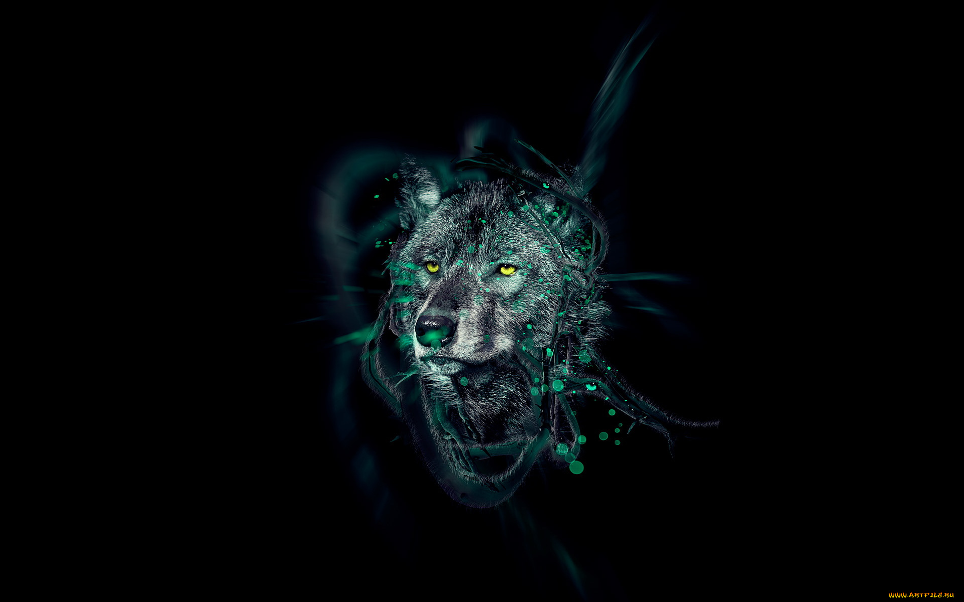 3д, графика, animals, животные, волк