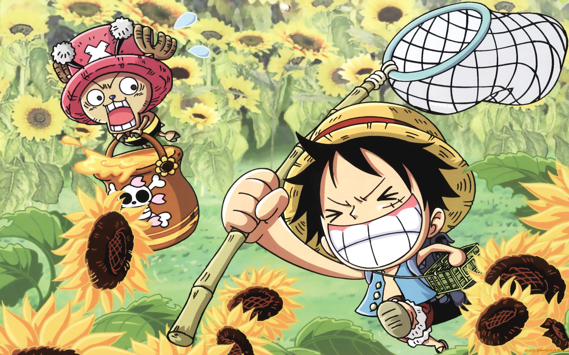 аниме, one, piece, сачек, подсолнухи, monkey, d, luffy, chopper