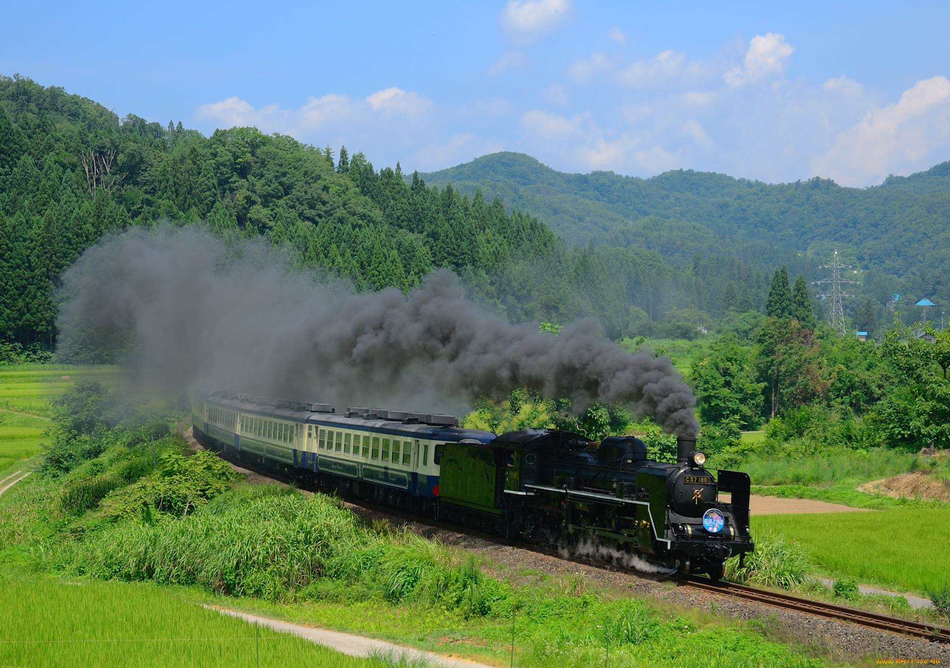 техника, паровозы, локомотив, лес, поворот, дым