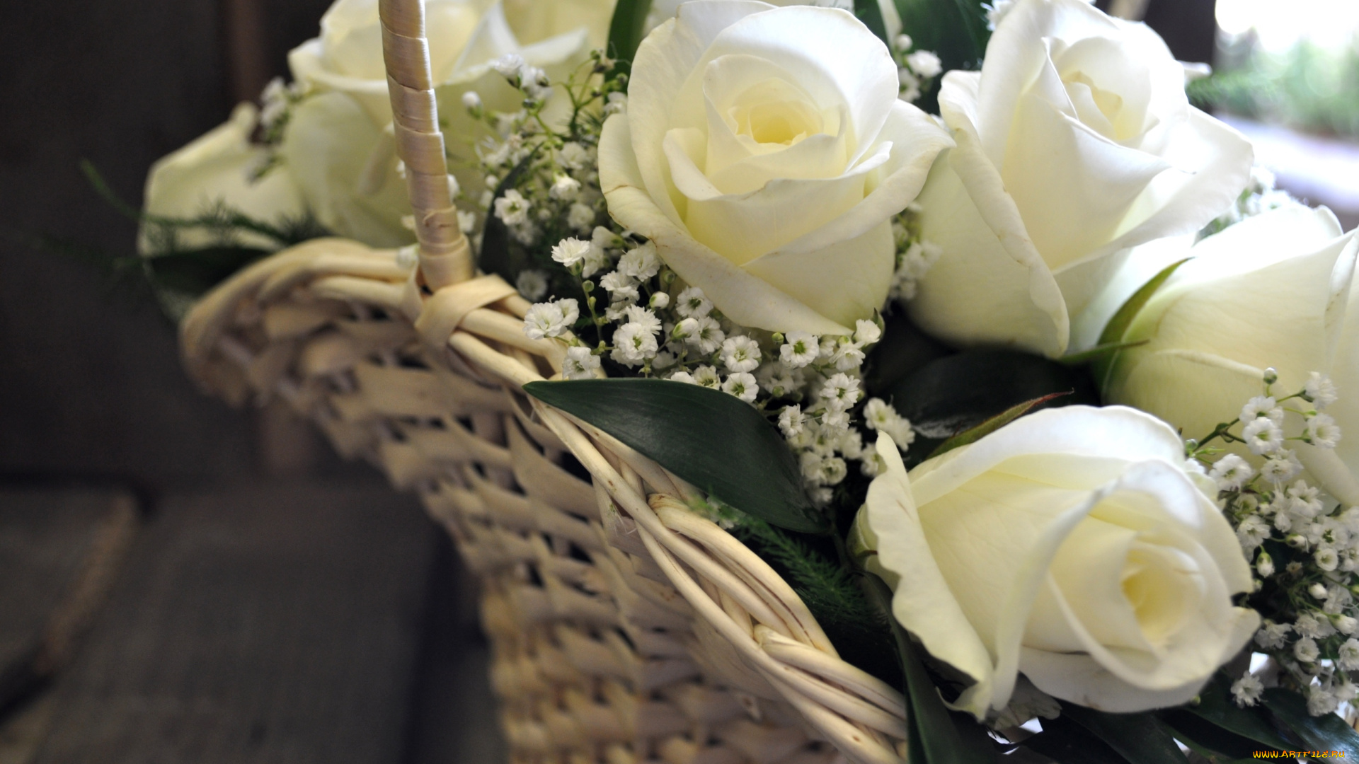 цветы, розы, корзина, белый, гипсофила