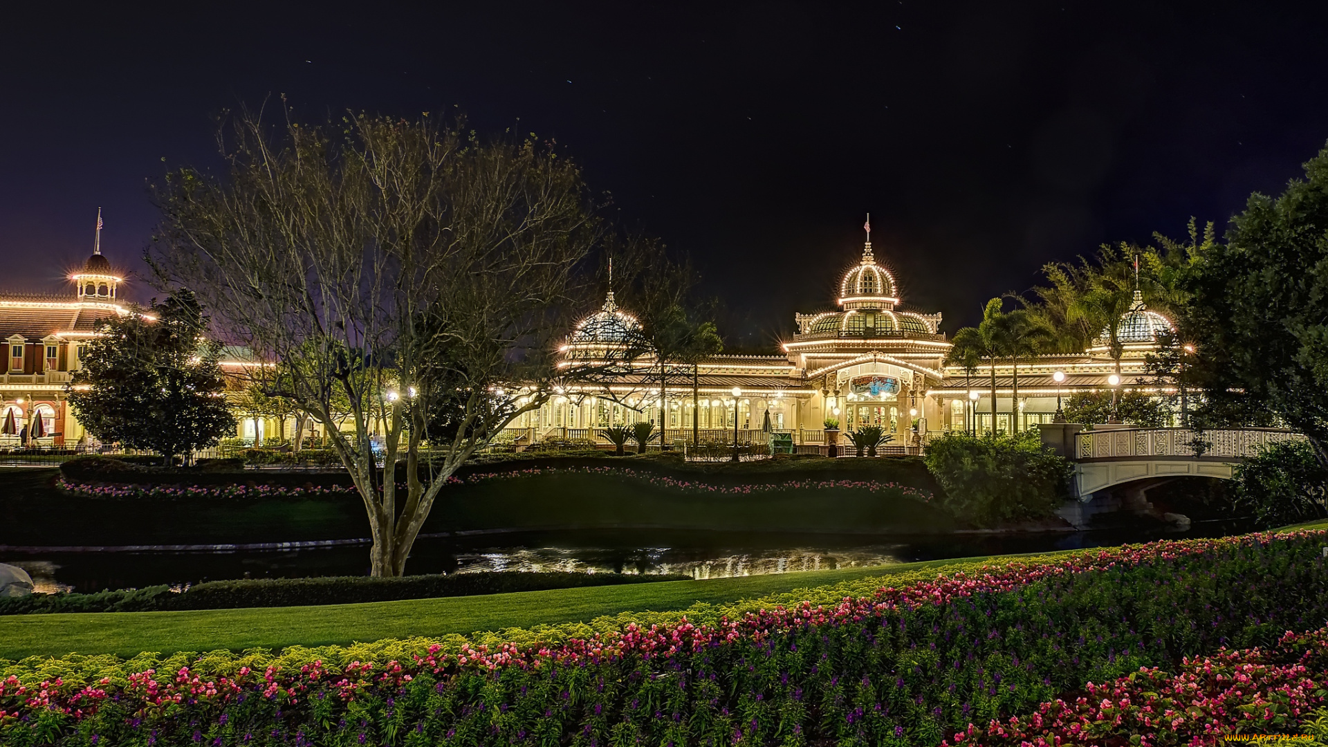 города, диснейленд, парк, ночь, дворец