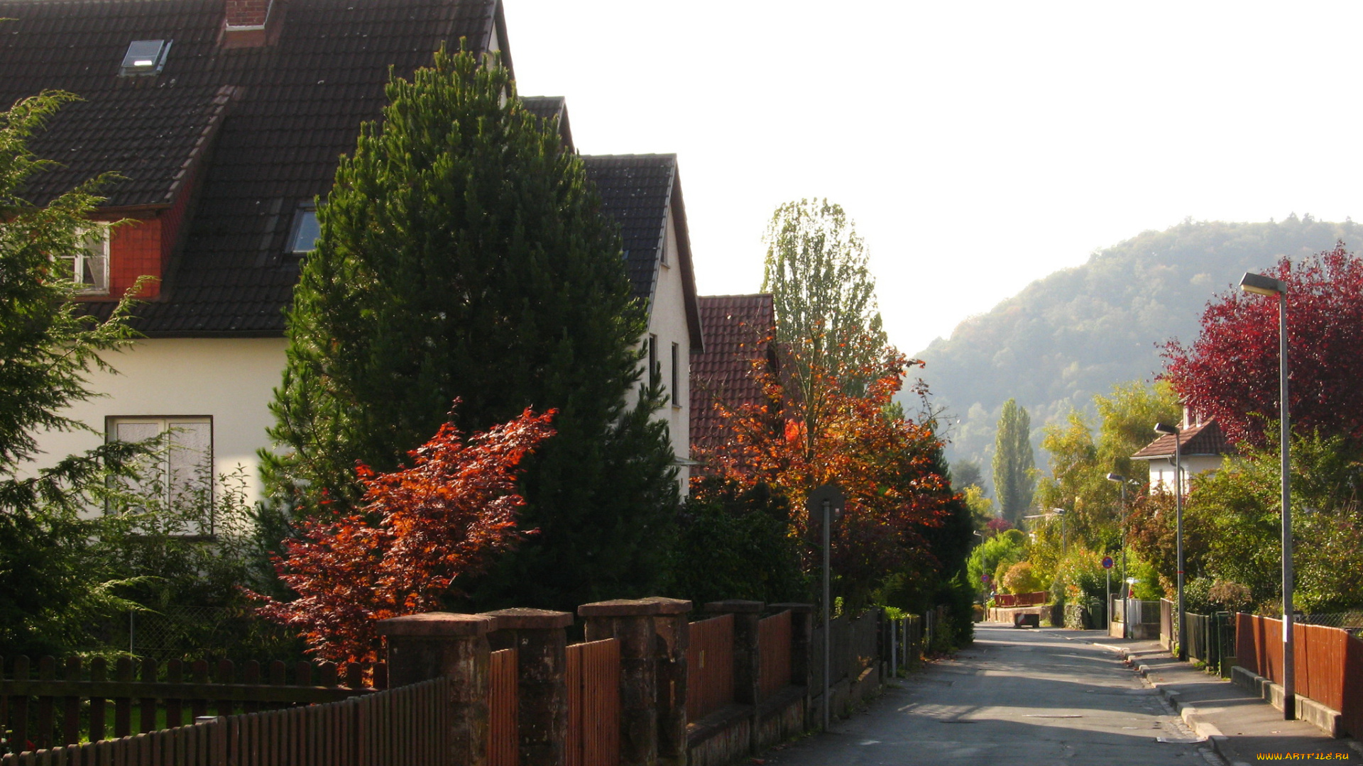 marburg, germany, города, улицы, площади, набережные, дома, улица, цветы, деревья