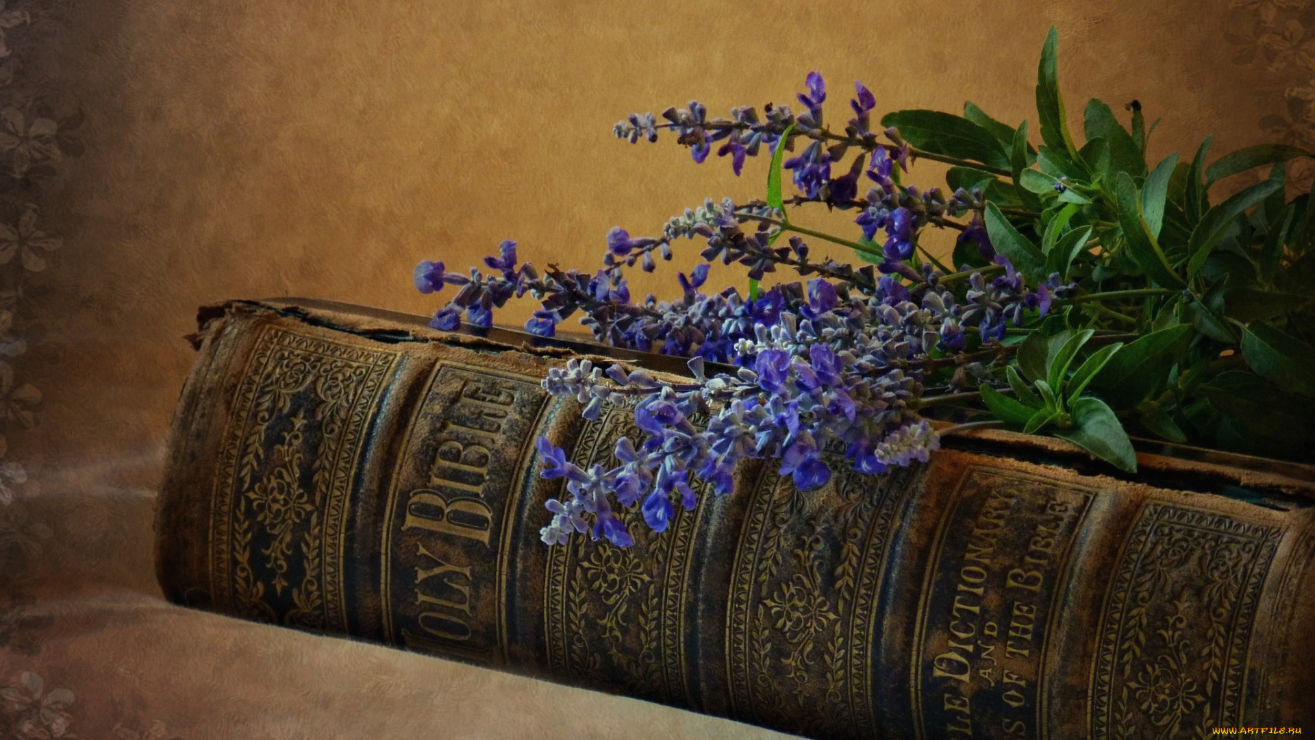 разное, религия, лаванда, библия