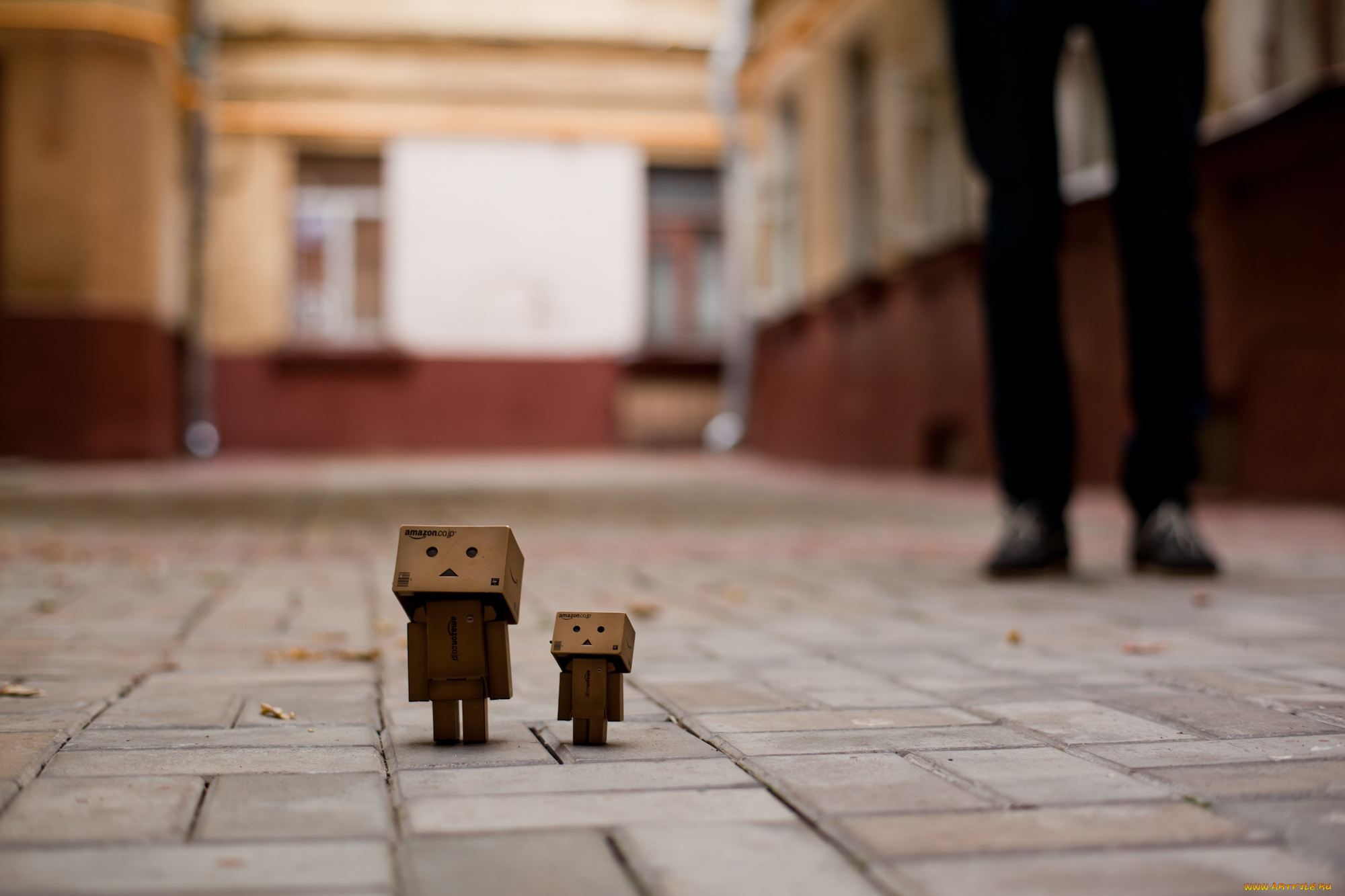 разное, данбо, danboard, коробочки, улица