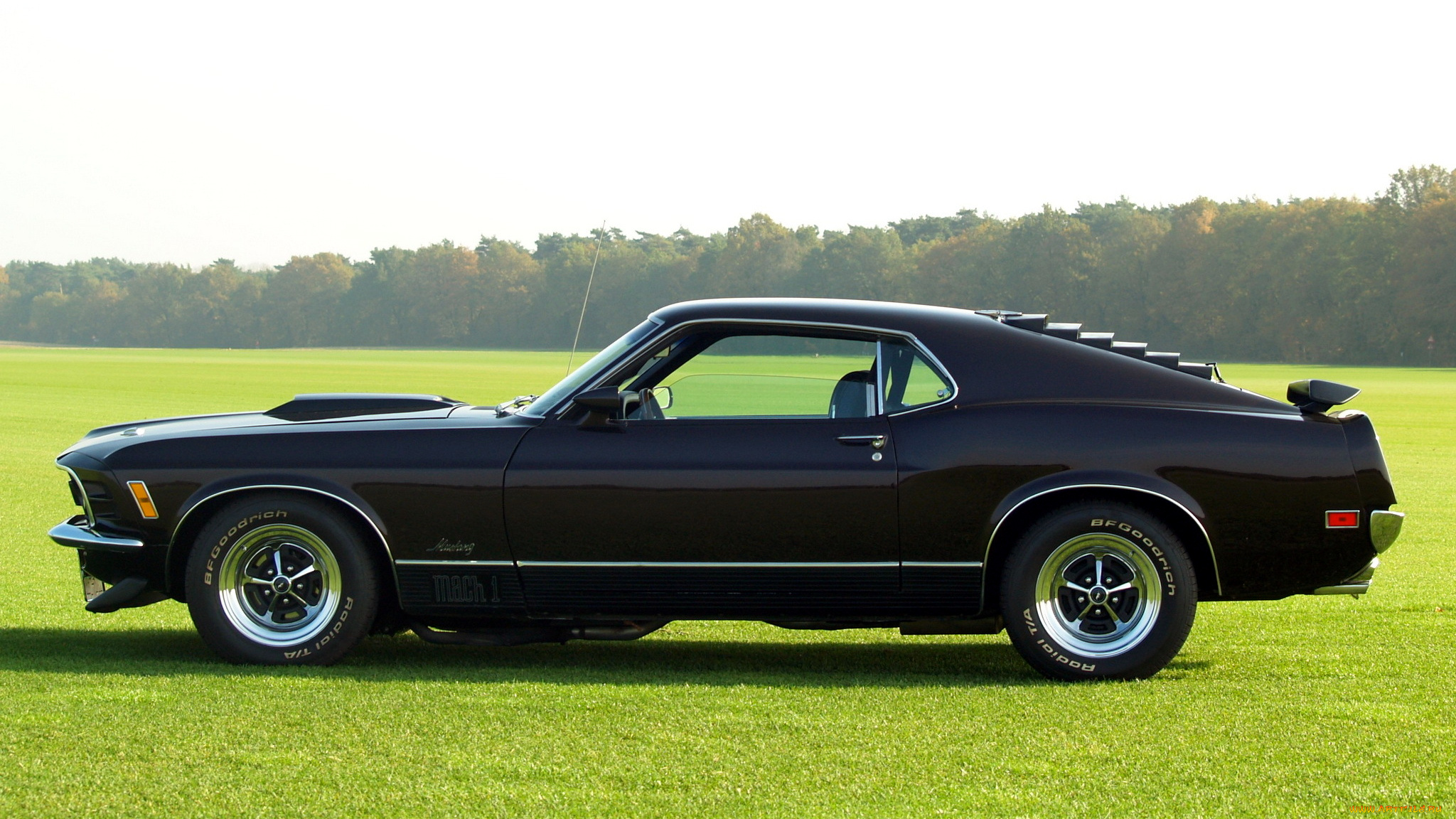 mustang, автомобили, ford, motor, company, сша