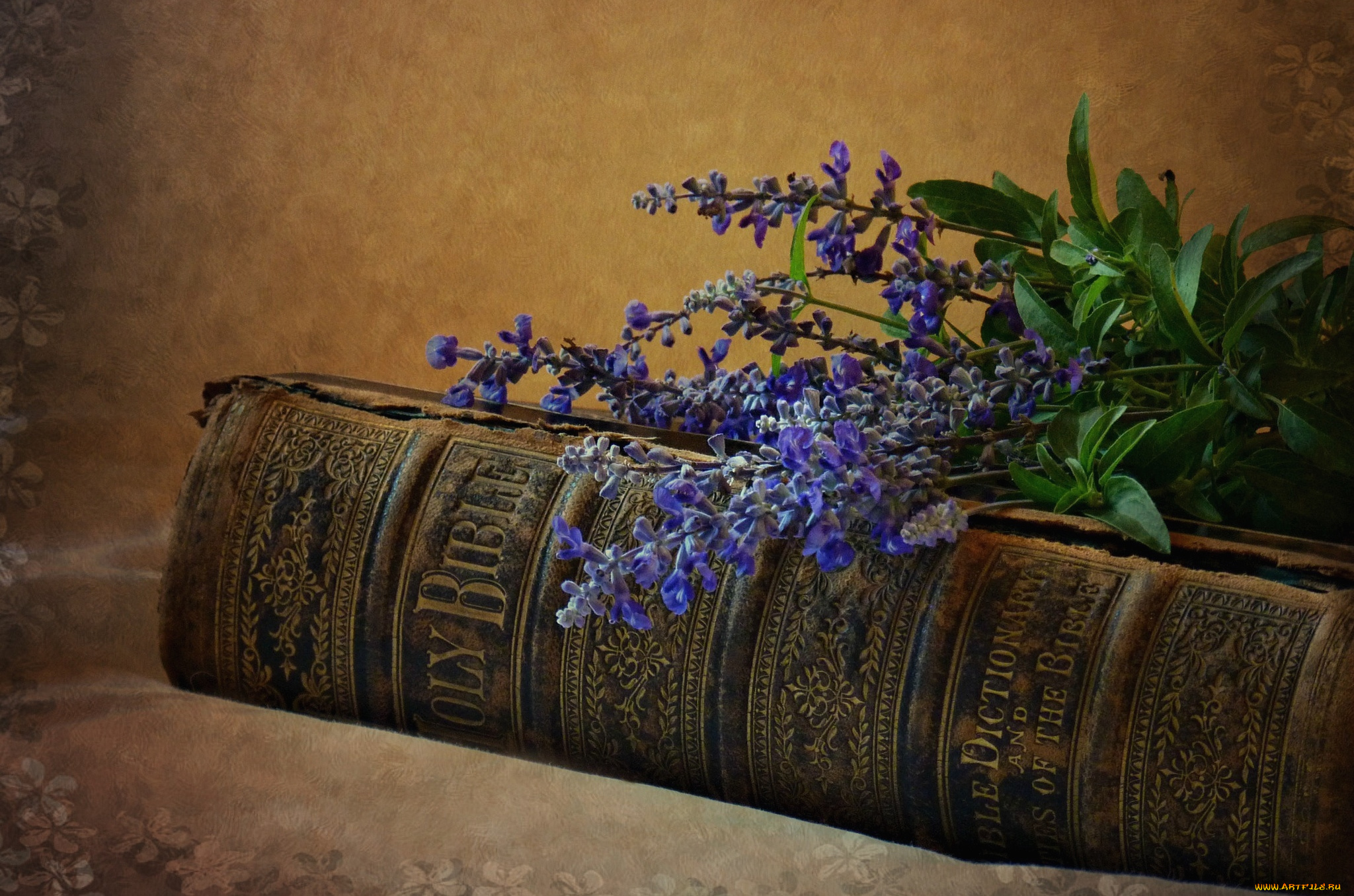 разное, религия, лаванда, библия