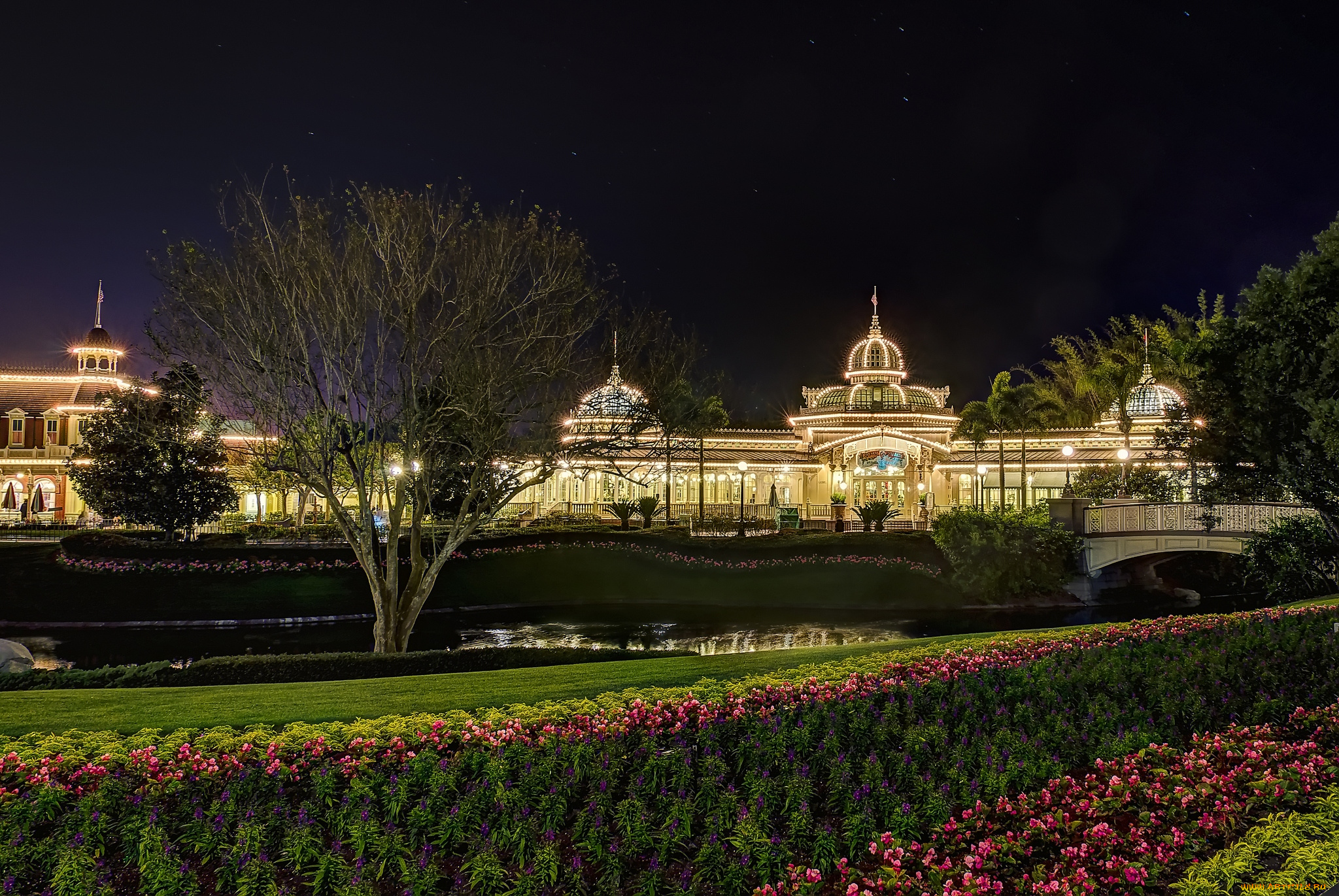 города, диснейленд, парк, ночь, дворец