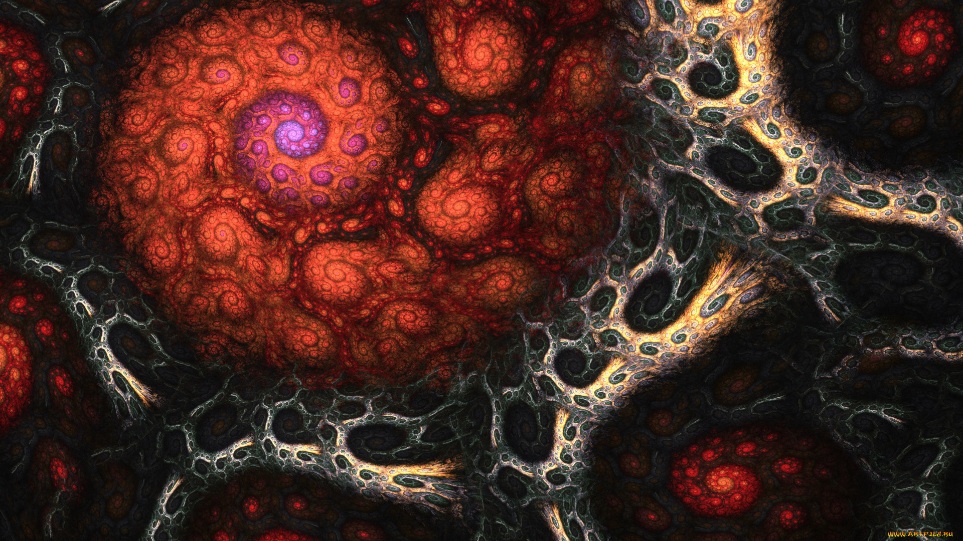 3д, графика, фракталы, , fractal, цвета, фон, узор