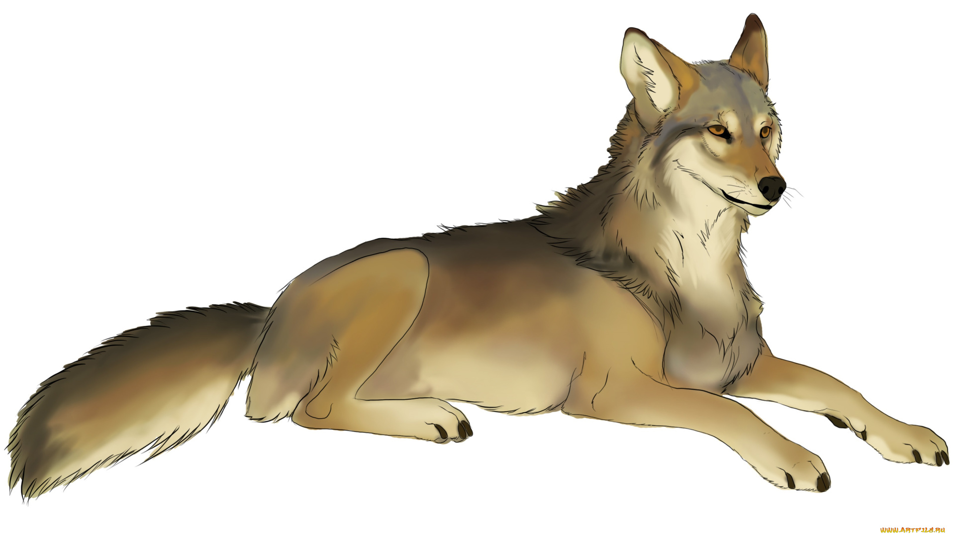 рисованные, животные, , собаки, собака