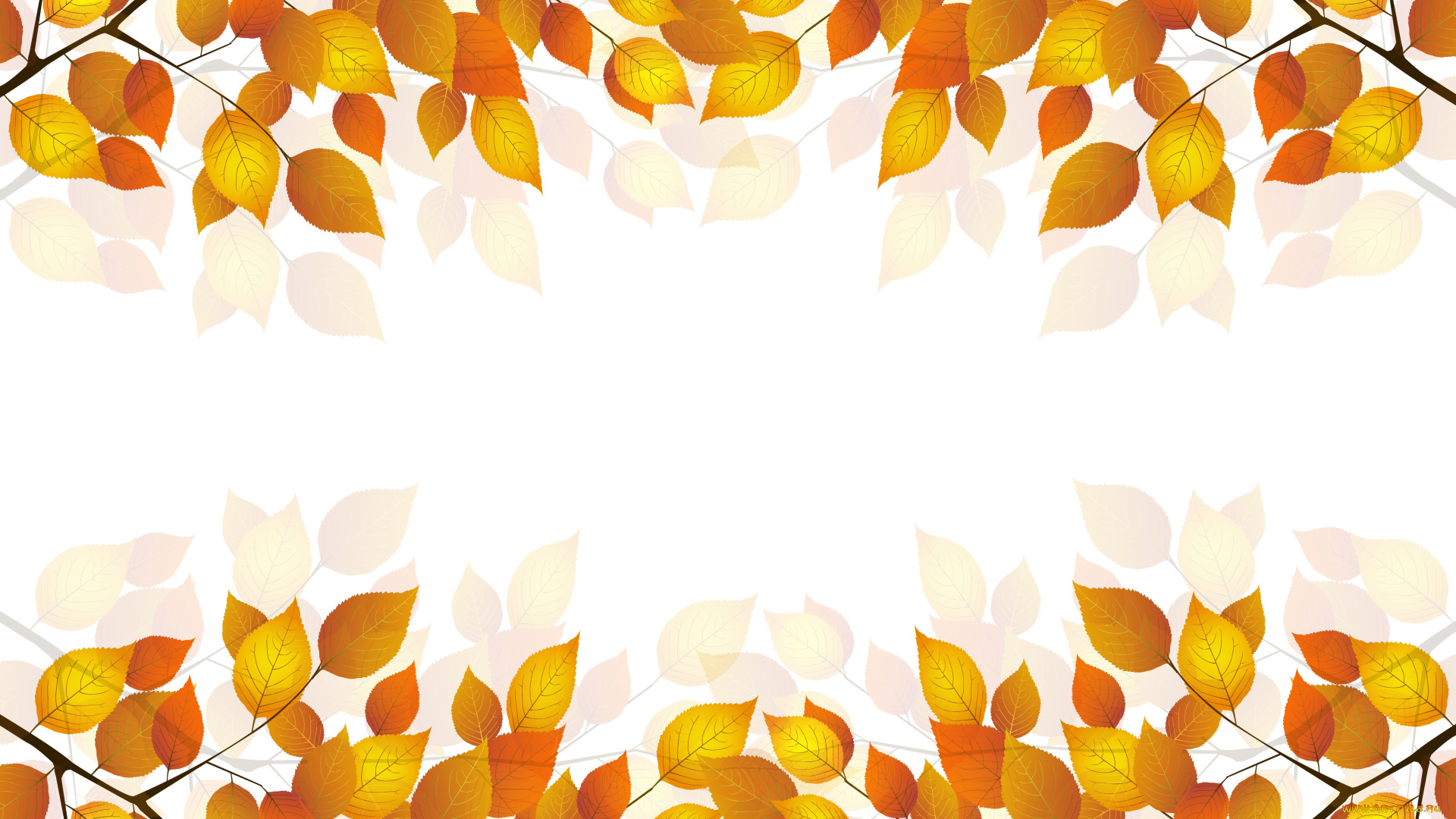 векторная, графика, природа, веточка, листья, осень, белый, фон