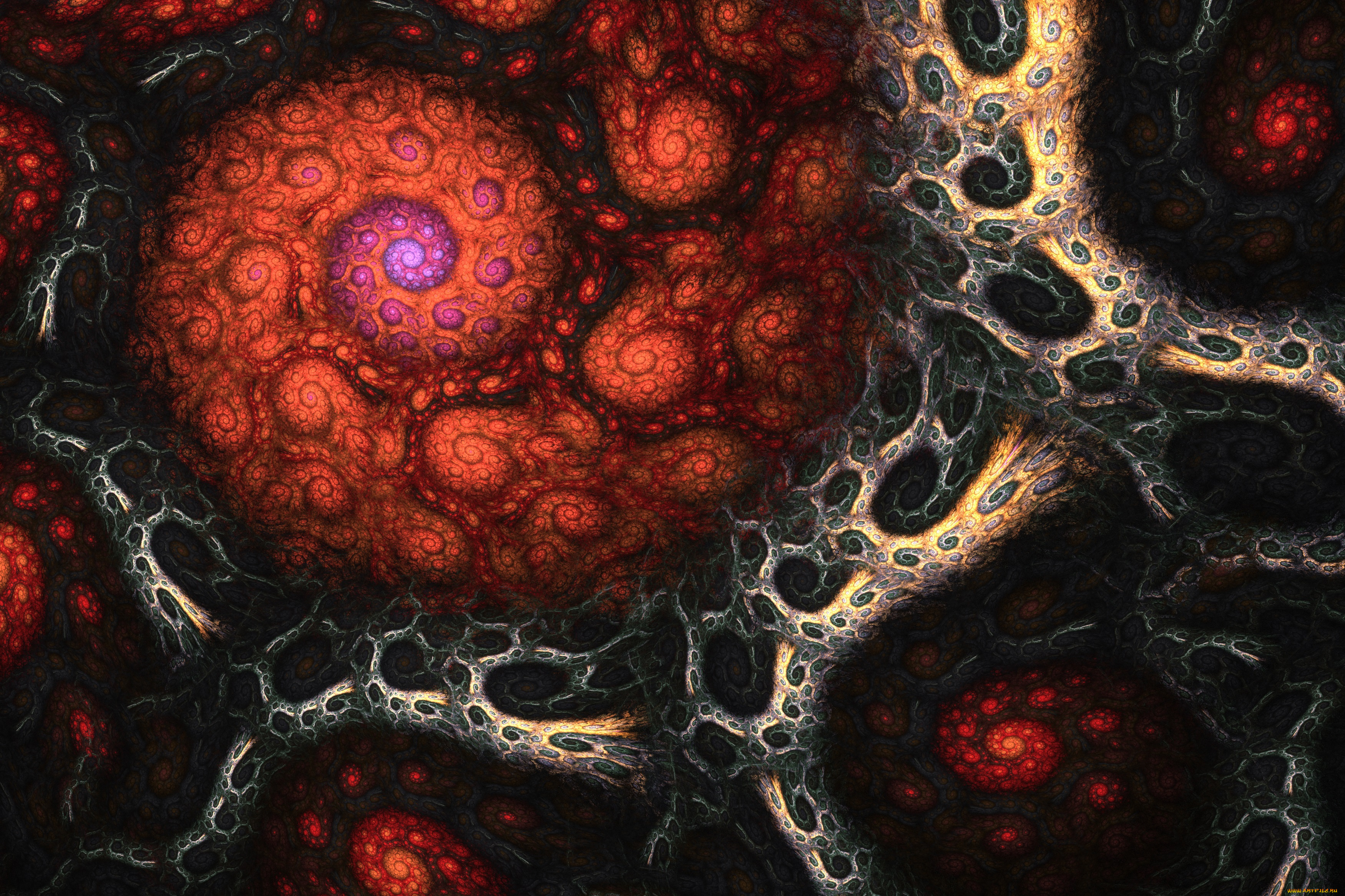 3д, графика, фракталы, , fractal, цвета, фон, узор