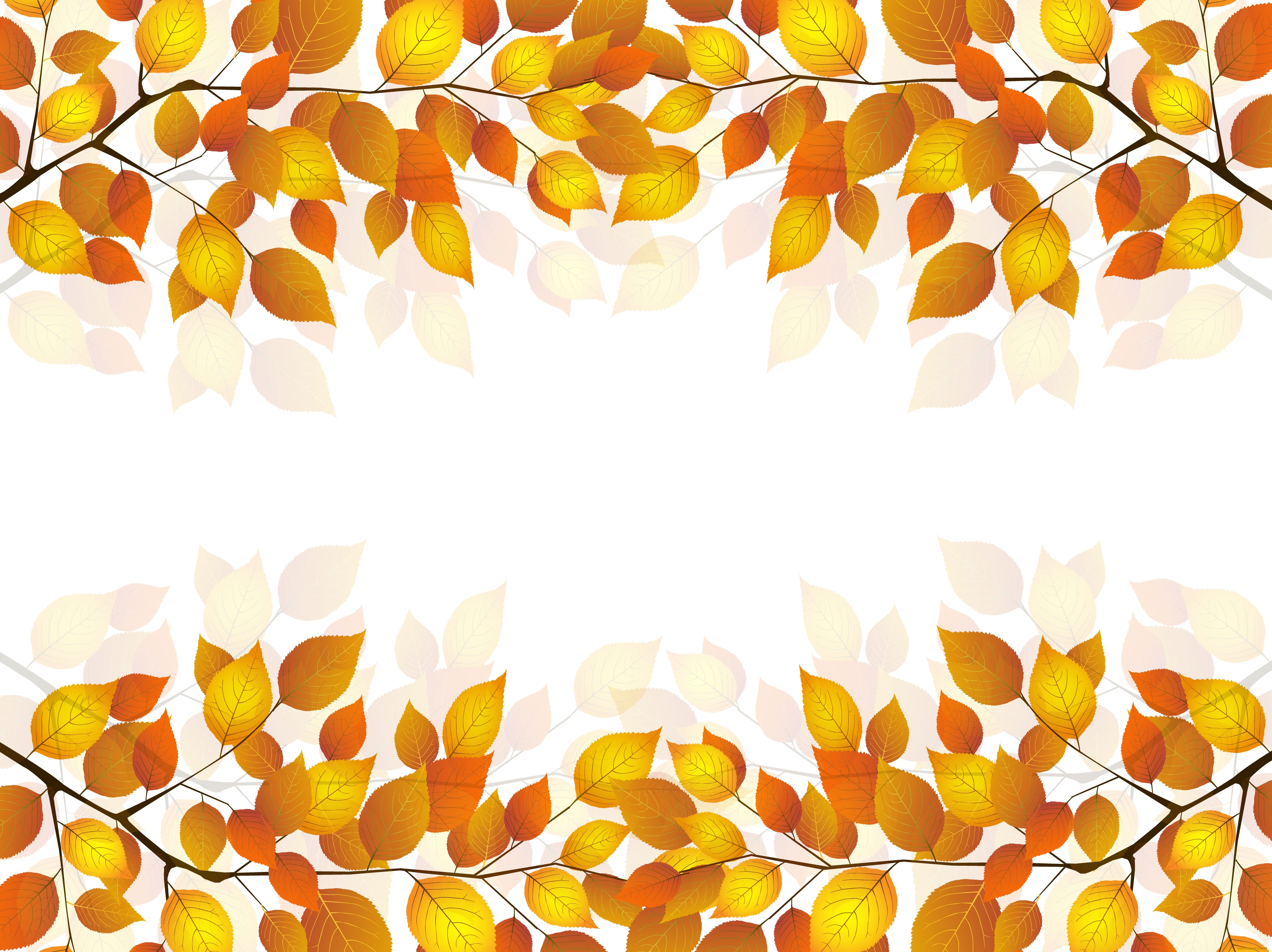 векторная, графика, природа, веточка, листья, осень, белый, фон