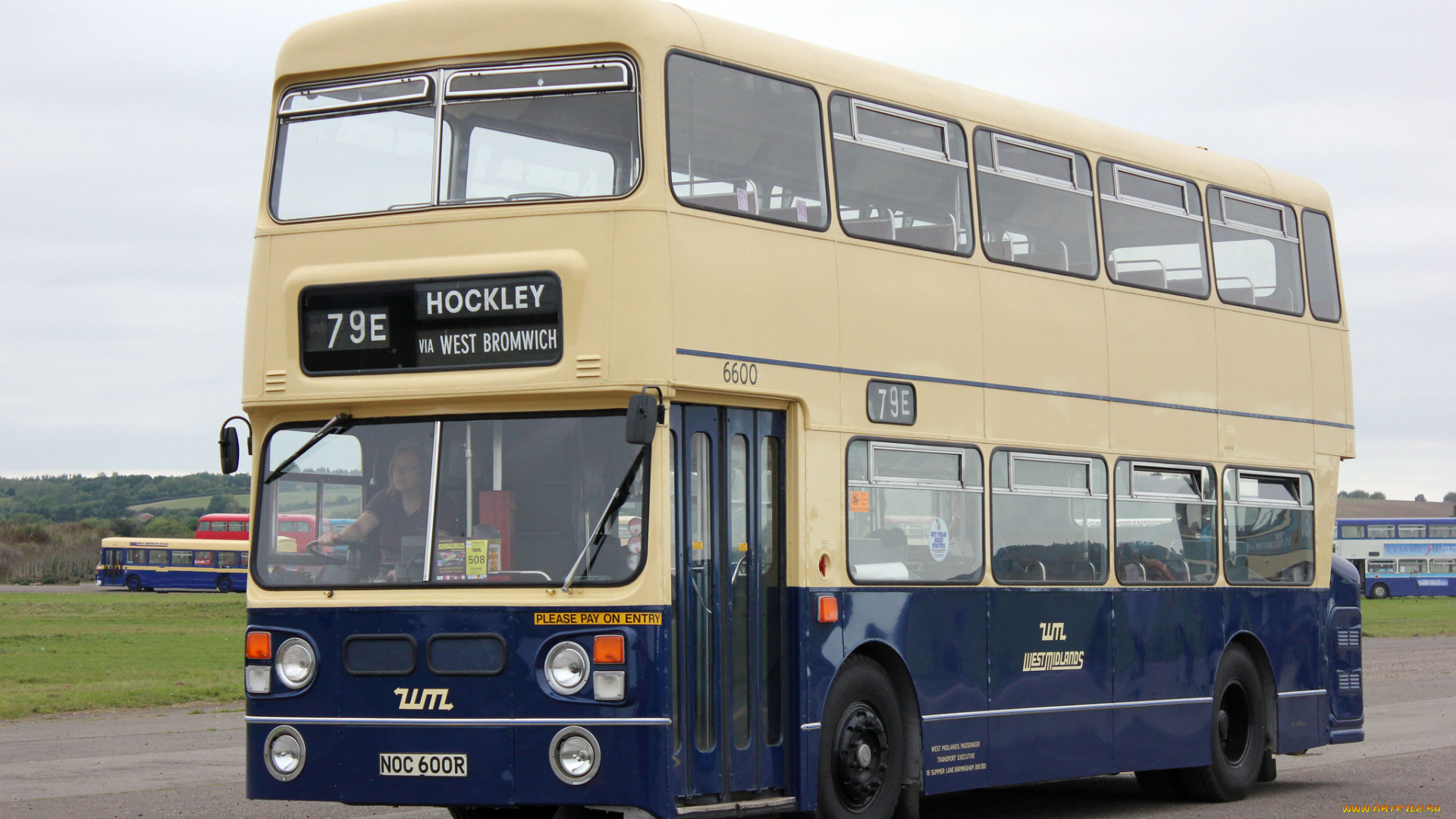 автомобили, автобусы, пассажирский, транспорт