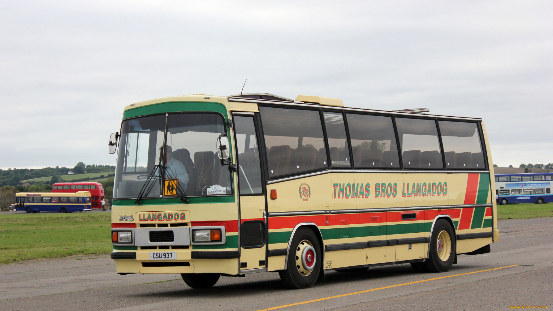 автомобили, автобусы, пассажирский, транспорт