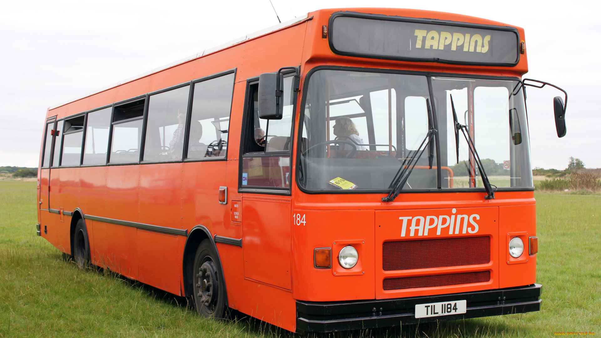 автомобили, автобусы, транспорт, пассажирский