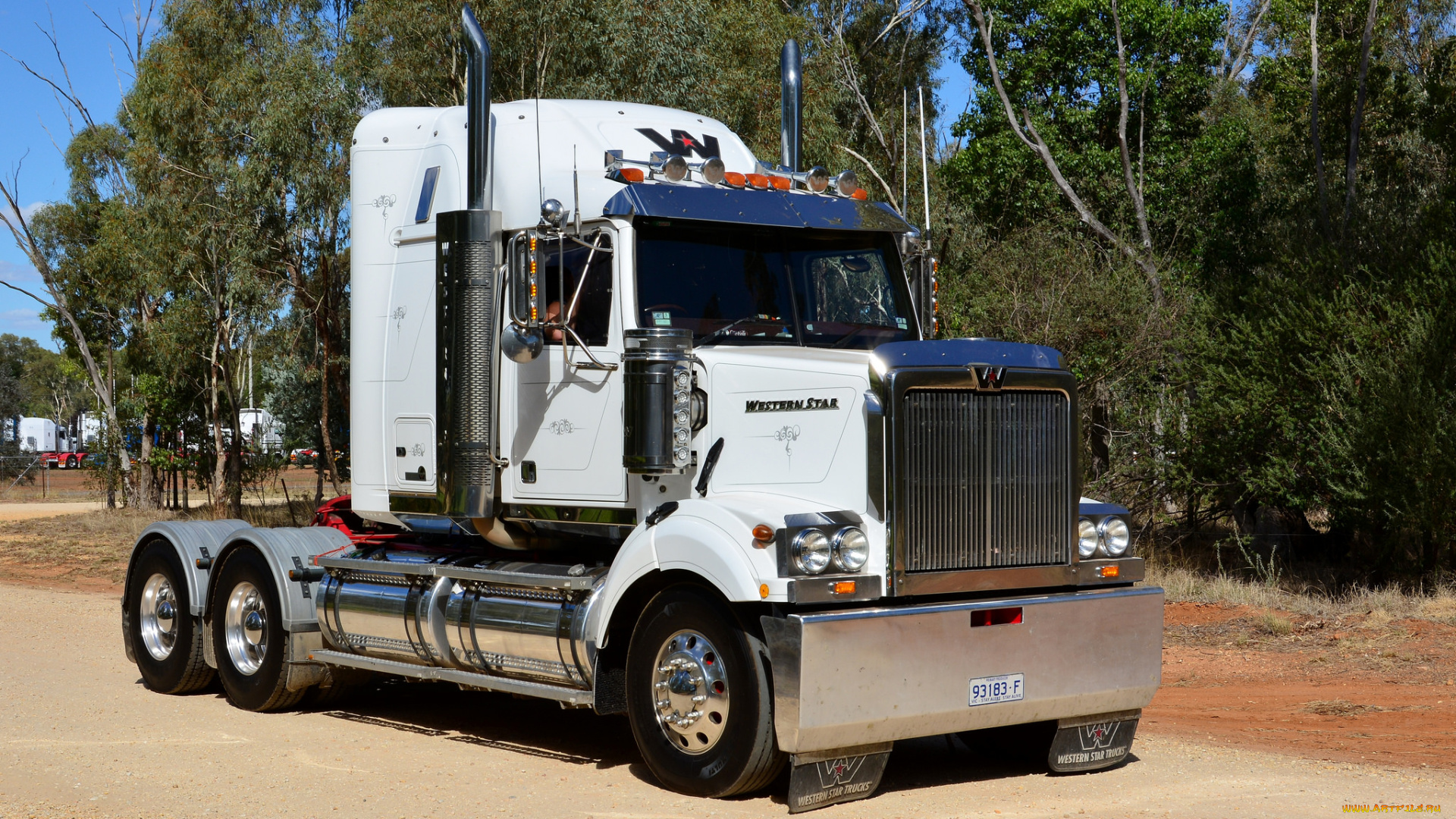 автомобили, western, star, тягач, тяжелый, грузовик, седельный