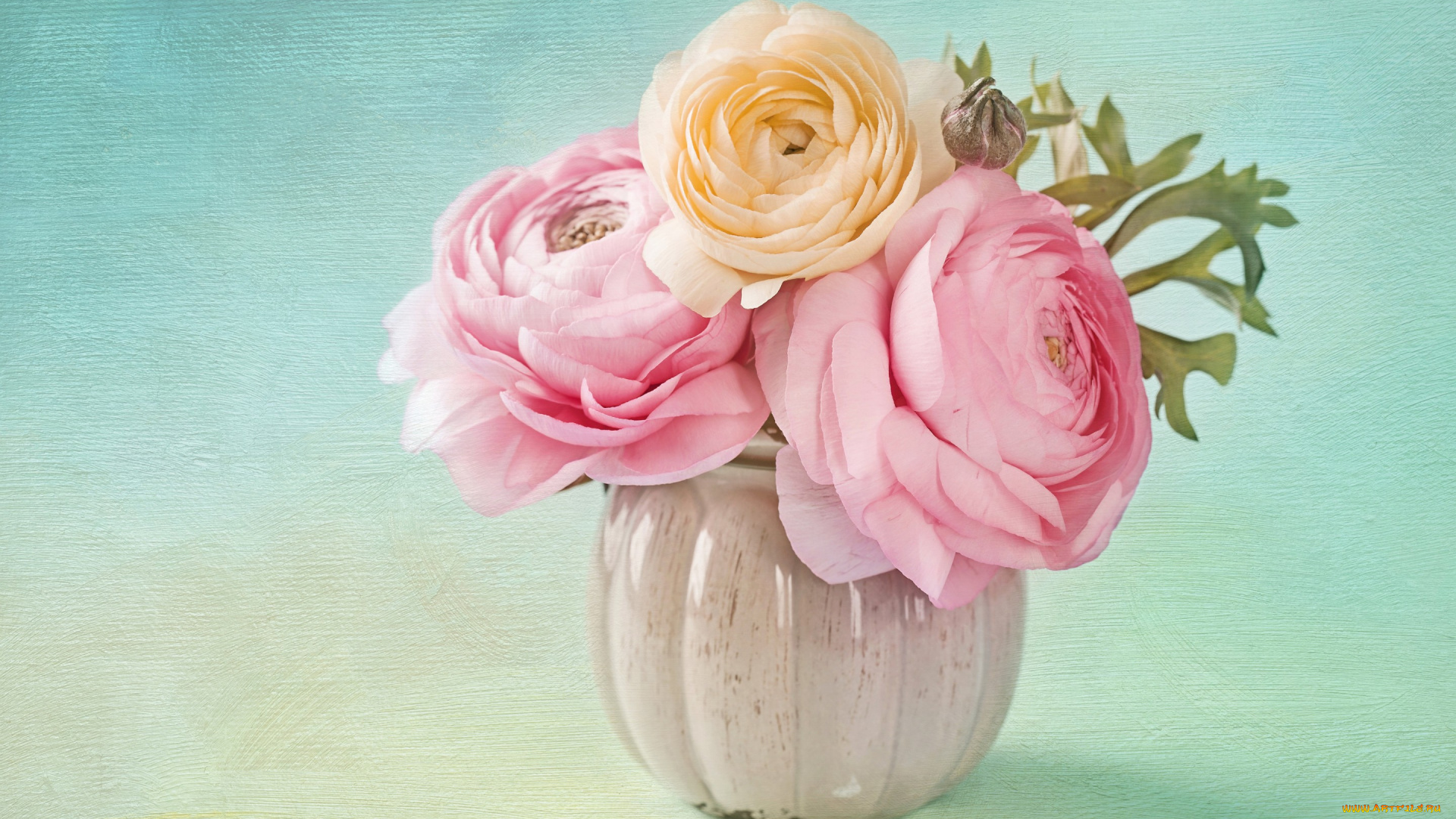 цветы, ранункулюс, , азиатский, лютик, букет