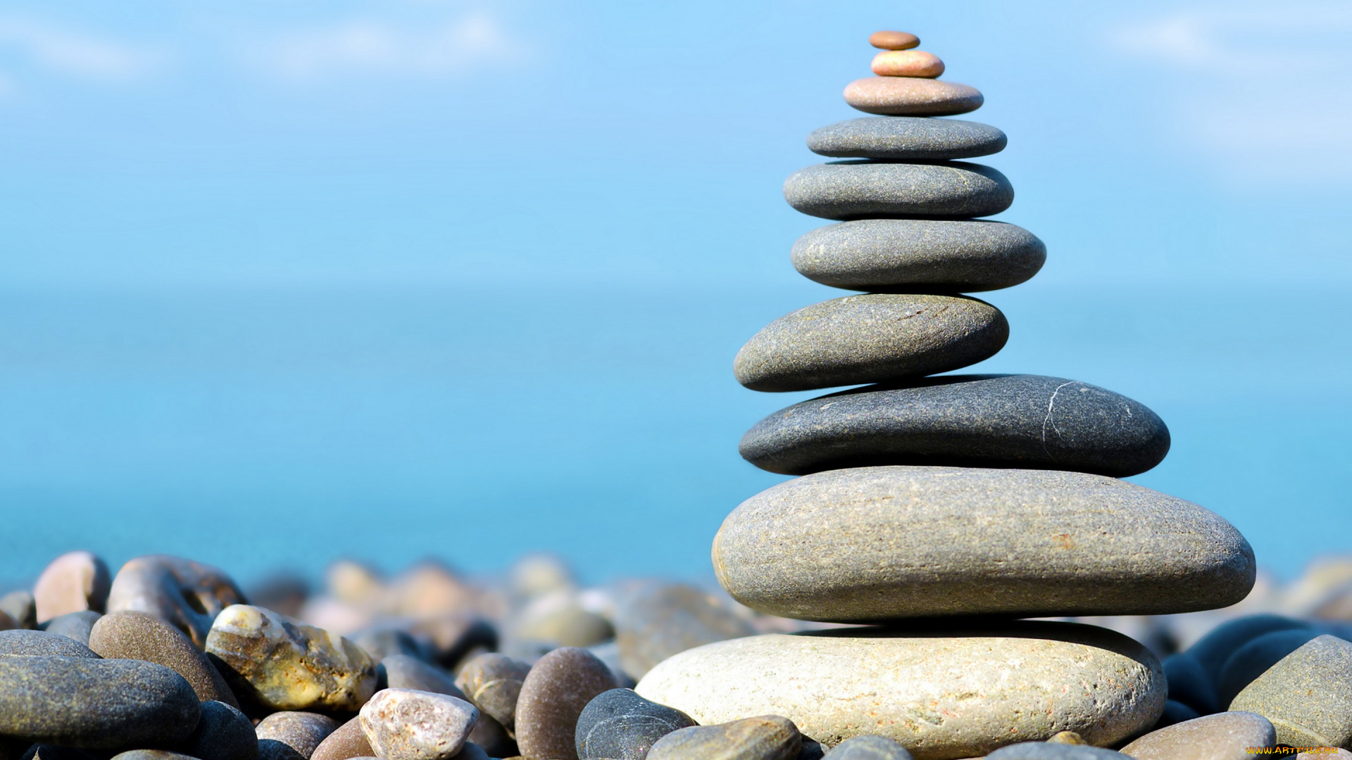 разное, ракушки, , кораллы, , декоративные, и, spa-камни, beach, берег, пляж, камни