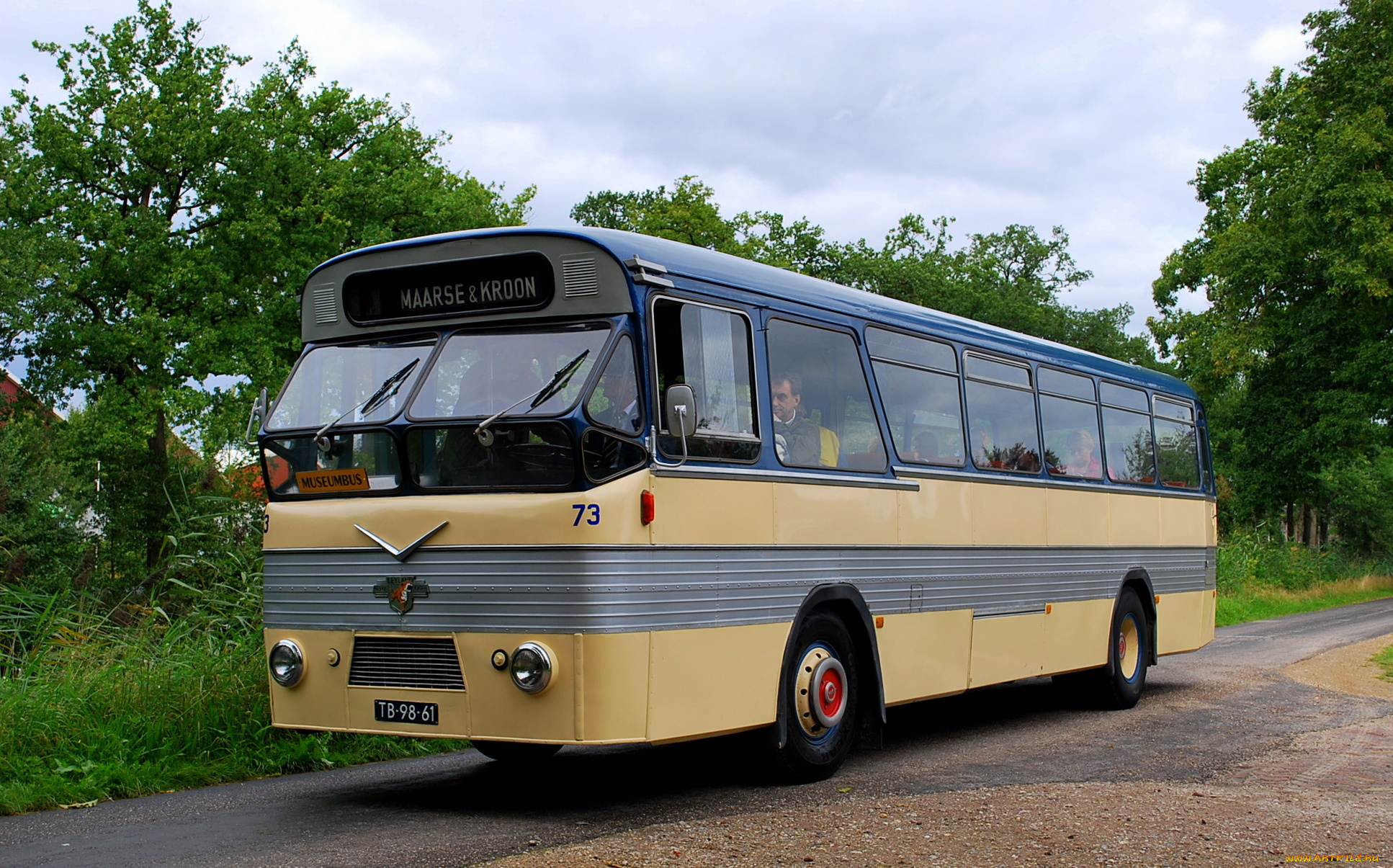 автомобили, автобусы, пассажирский, транспорт