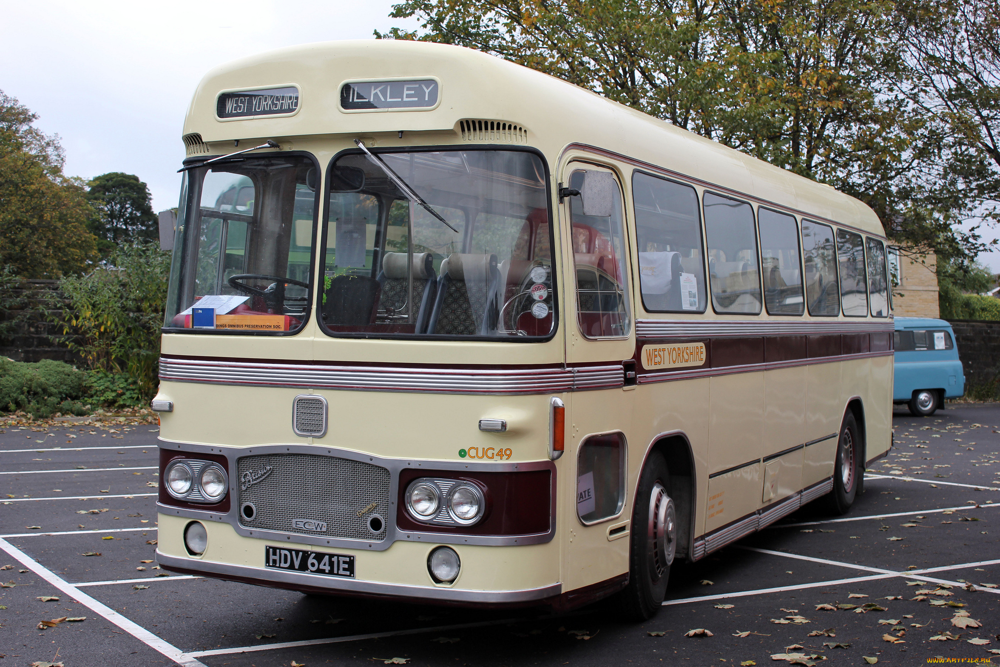 автомобили, автобусы, пассажирский, транспорт