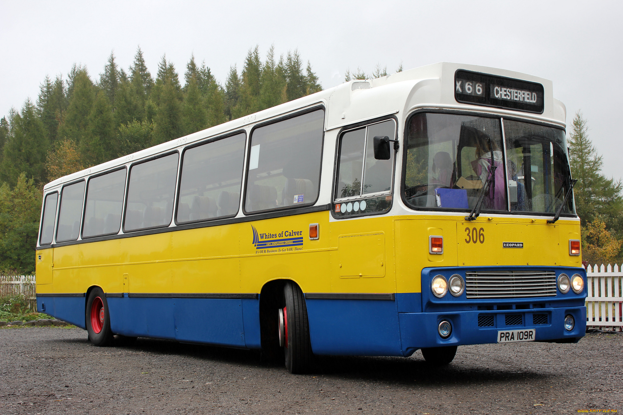 автомобили, автобусы, пассажирский, транспорт