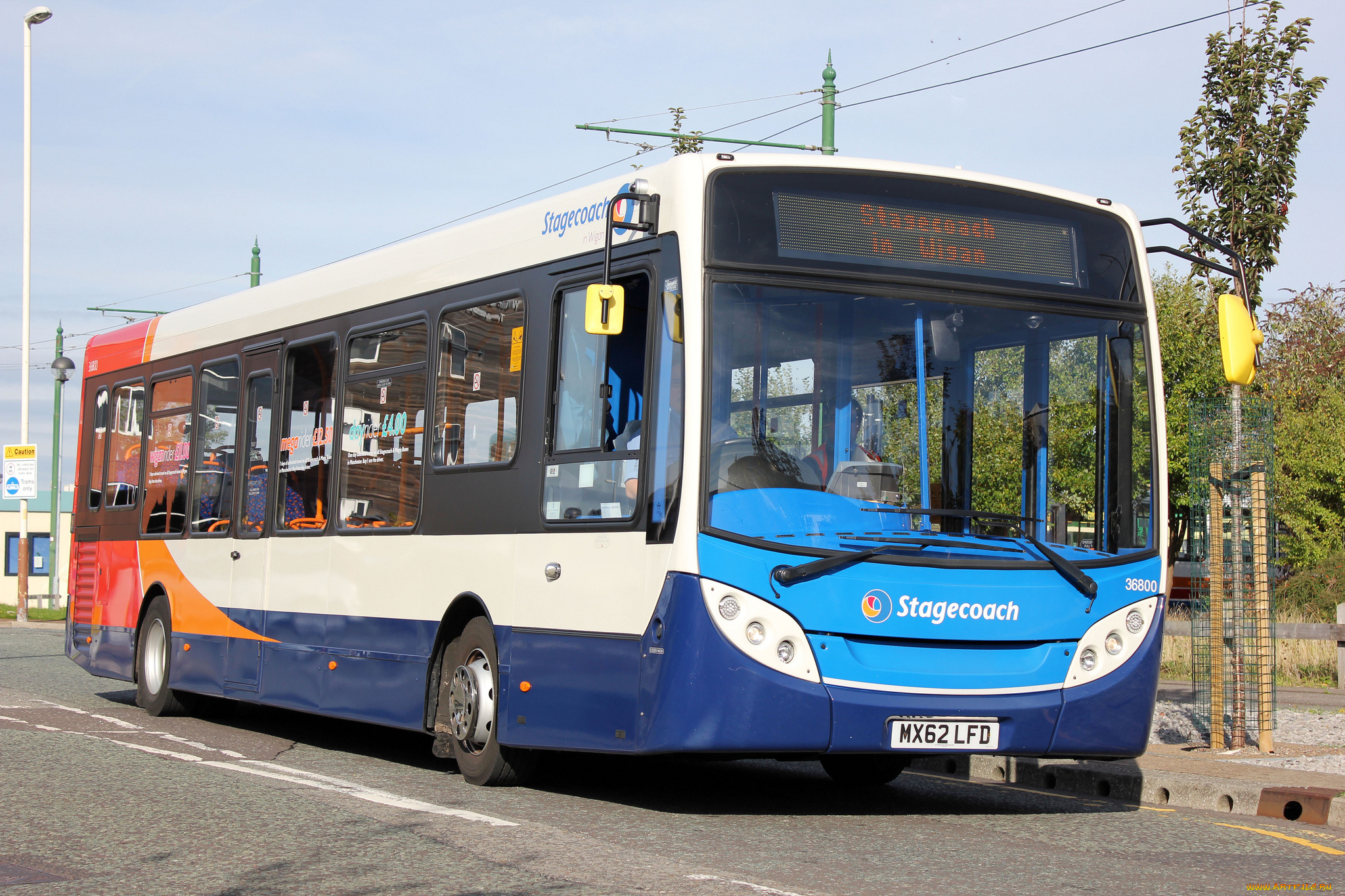 автомобили, автобусы, пассажирский, транспорт