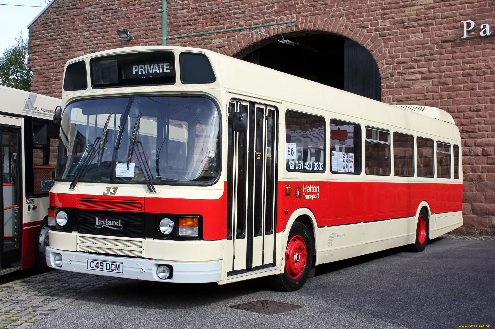 автомобили, автобусы, пассажирский, транспорт