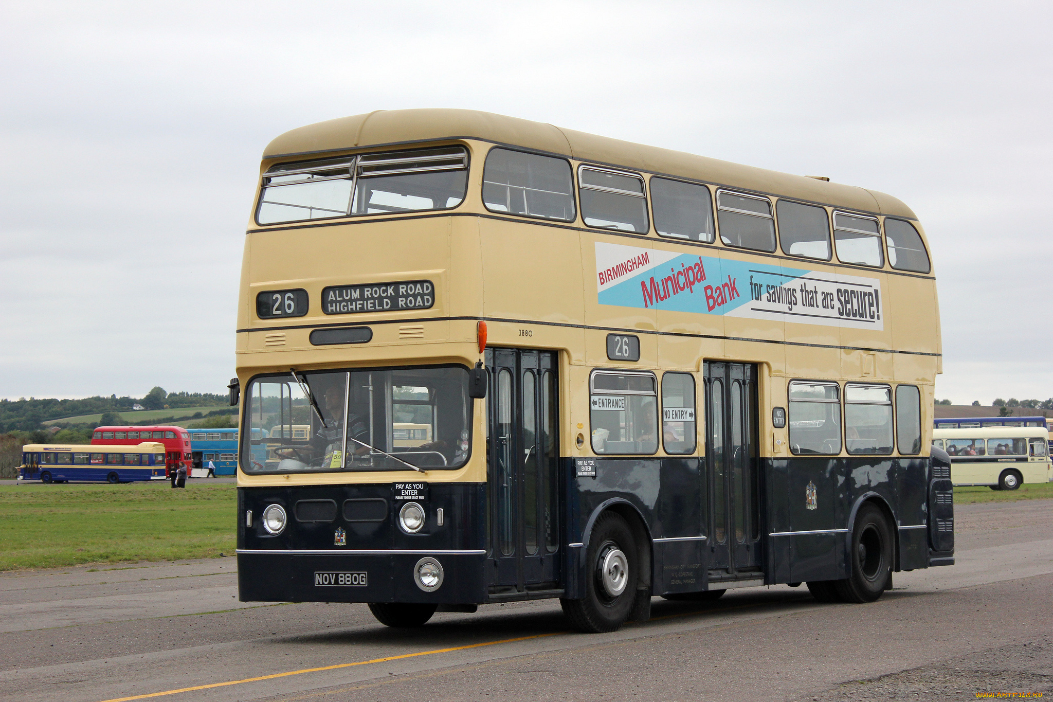 автомобили, автобусы, пассажирский, транспорт