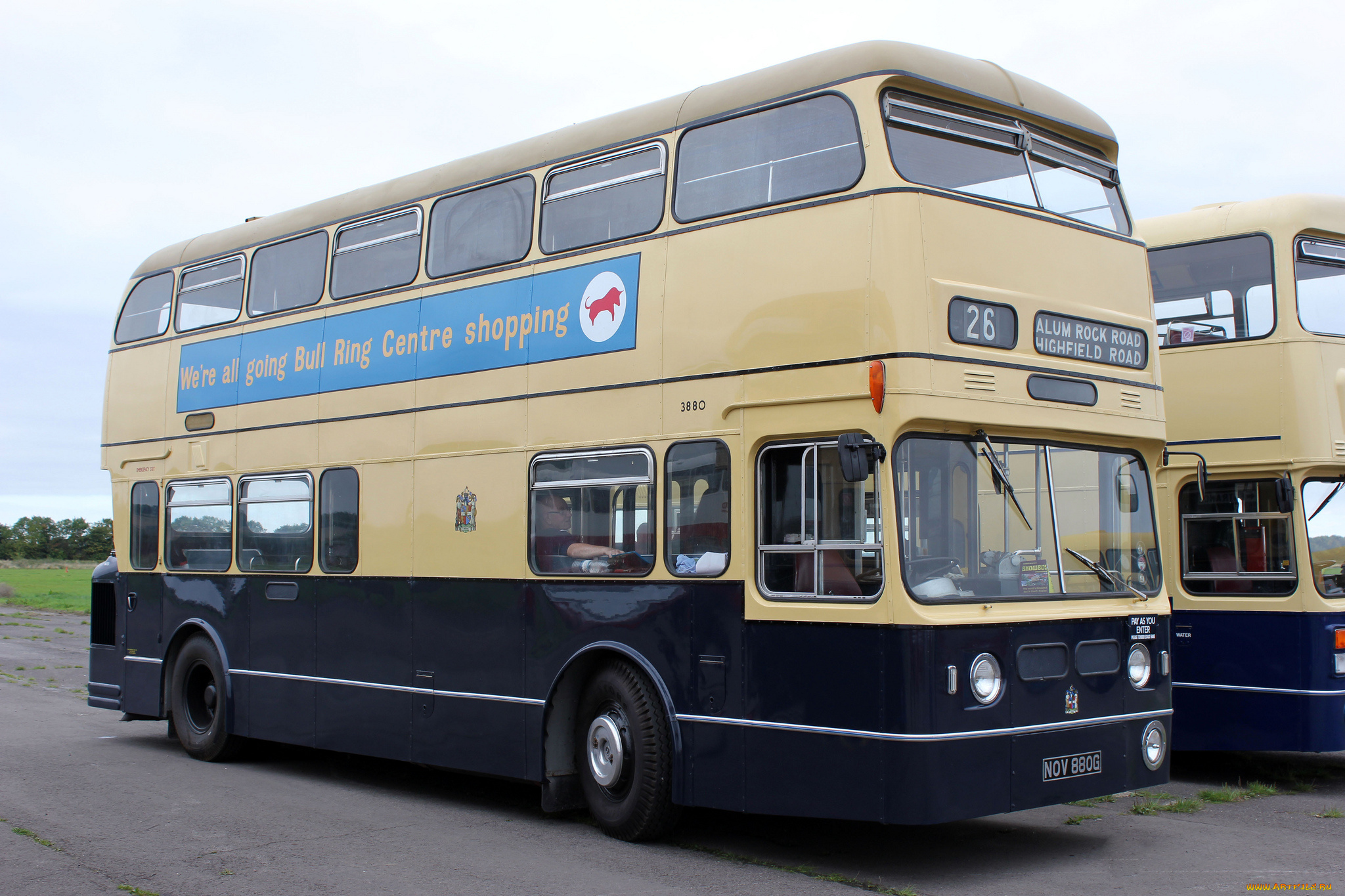 автомобили, автобусы, пассажирский, транспорт