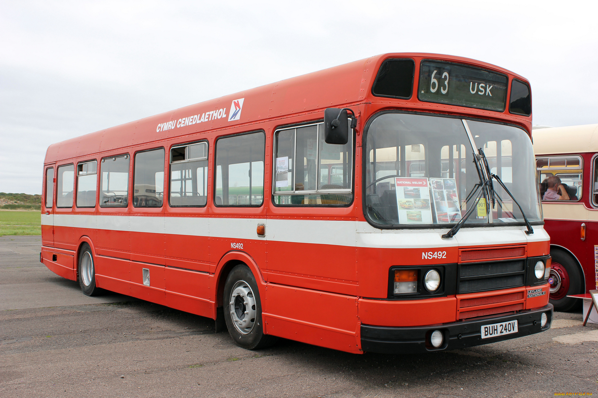 автомобили, автобусы, транспорт, пассажирский