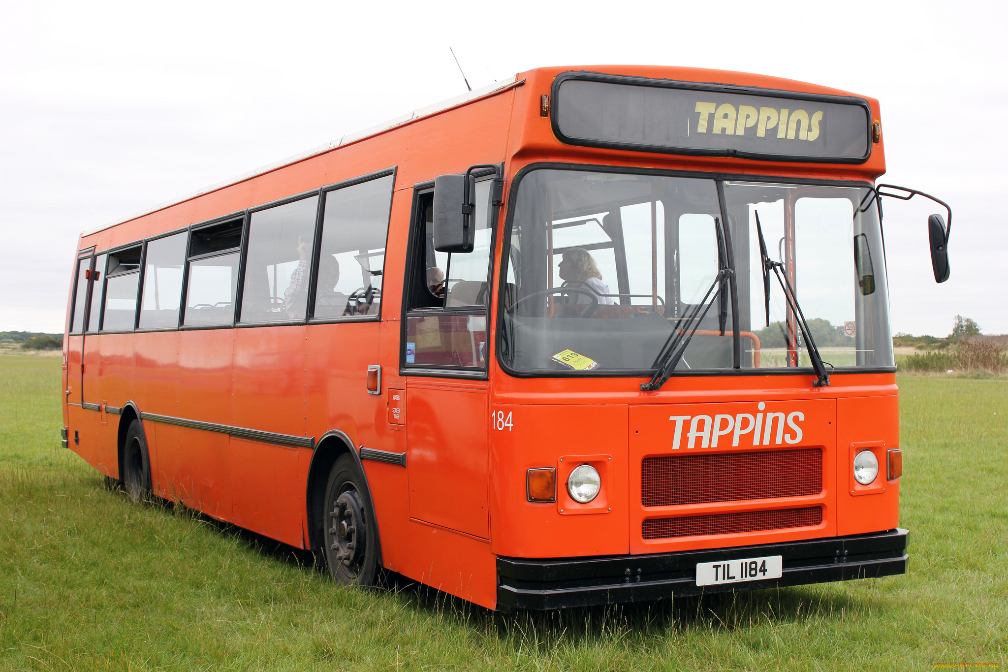 автомобили, автобусы, транспорт, пассажирский