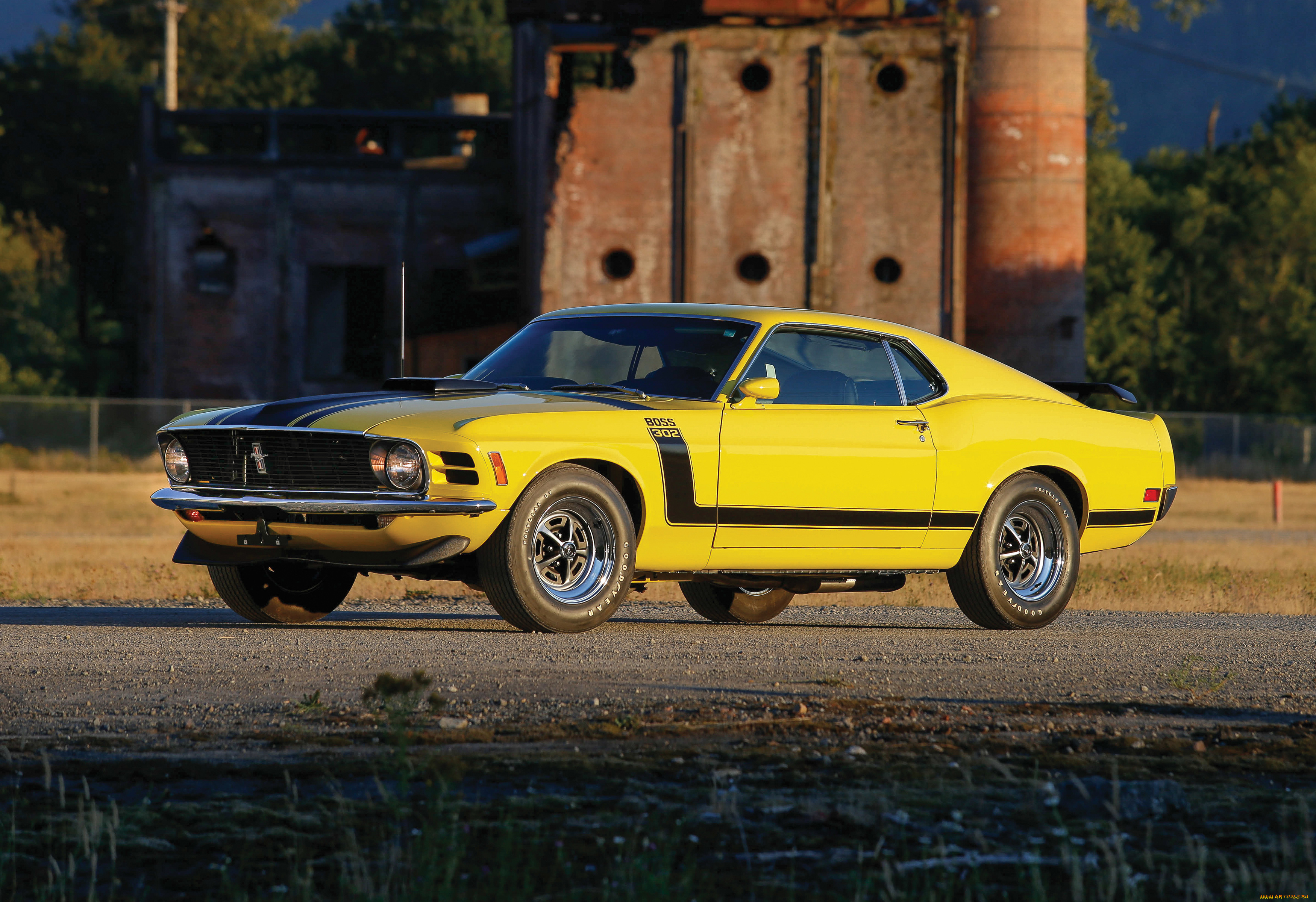 автомобили, mustang