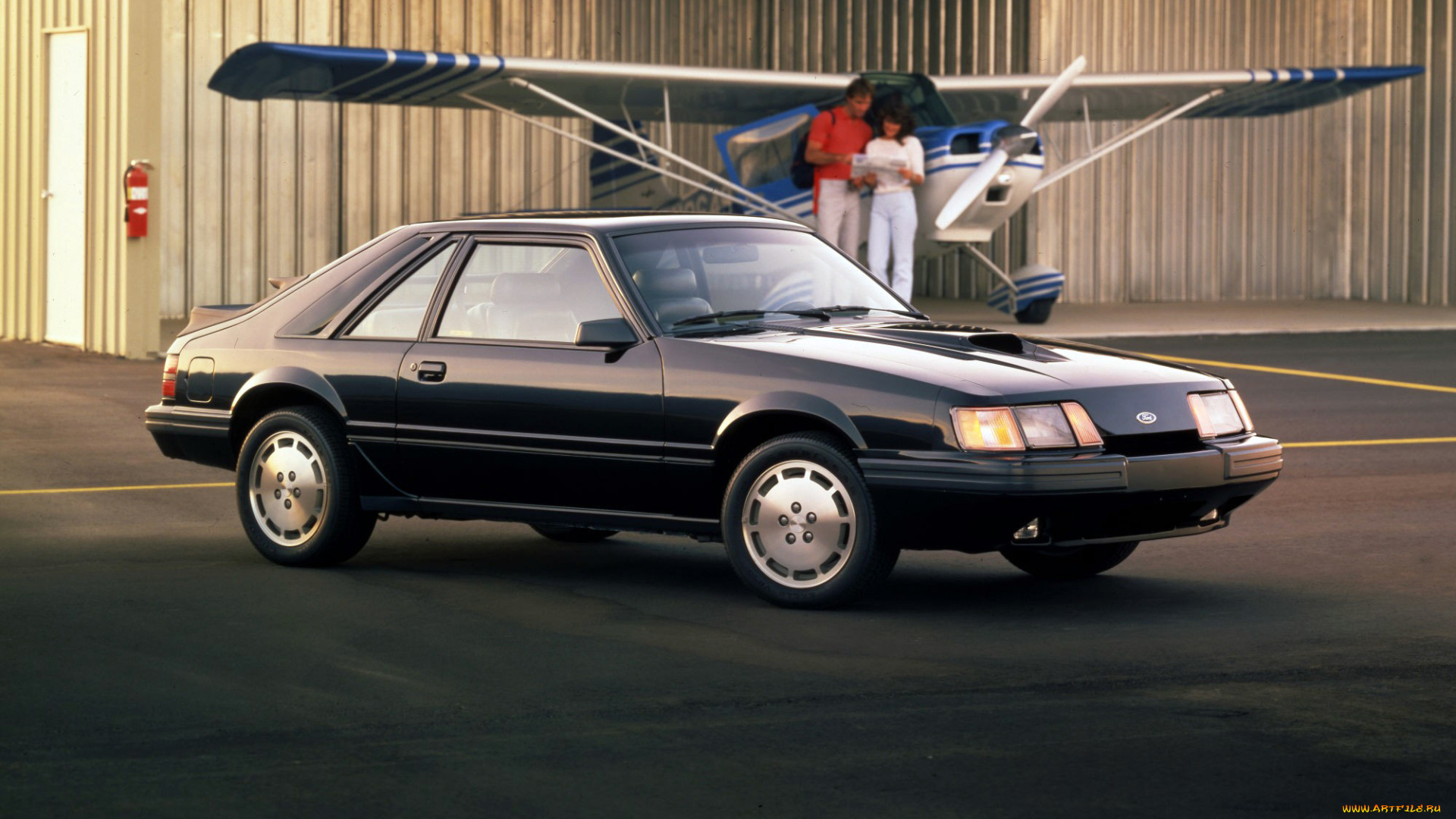 автомобили, mustang