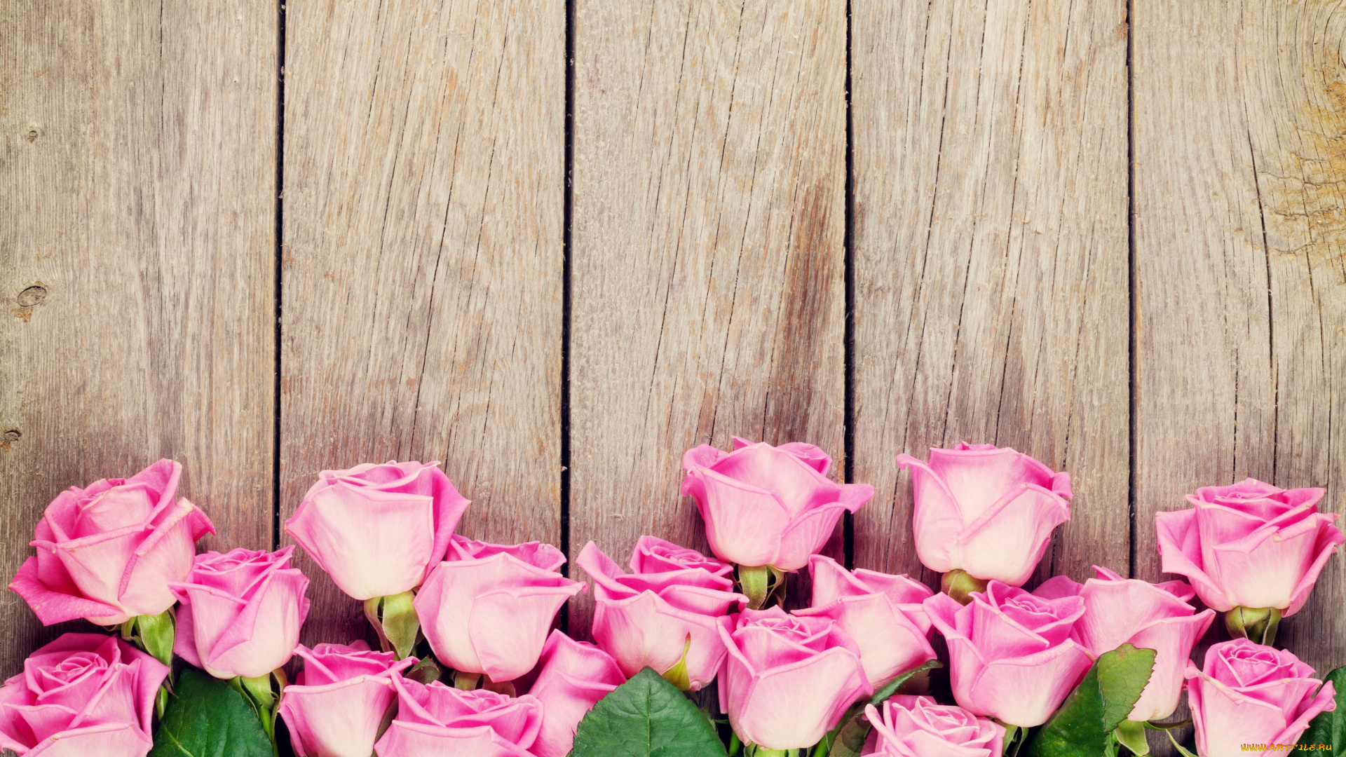 цветы, розы, лента, праздник, открытка, букет