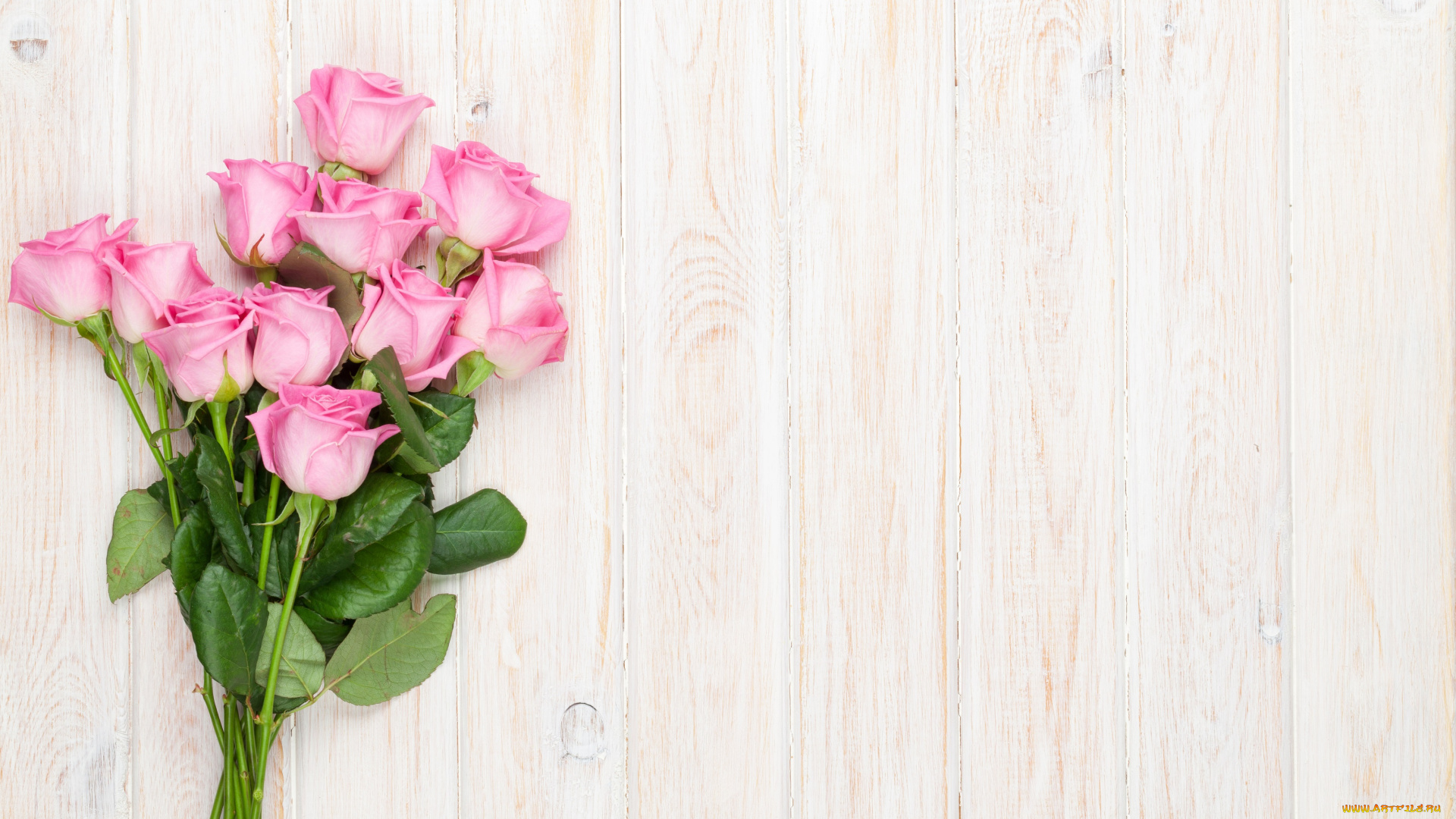 цветы, розы, лента, праздник, открытка, букет