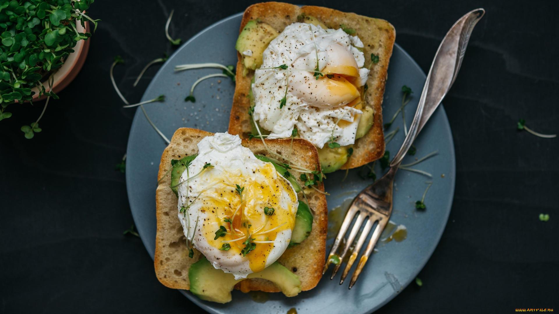 еда, бутерброды, , гамбургеры, , канапе, ланч